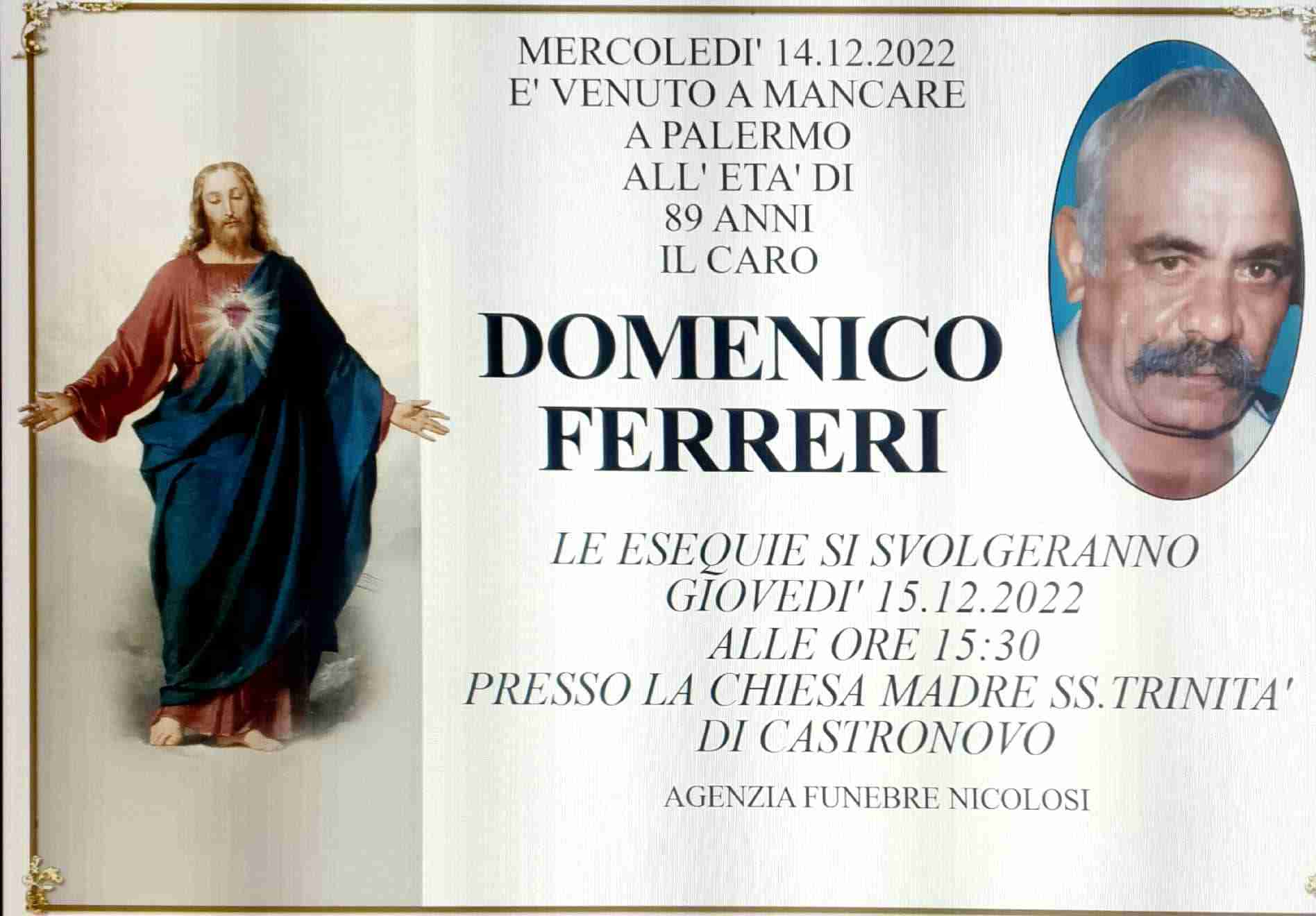 Domenico Ferreri