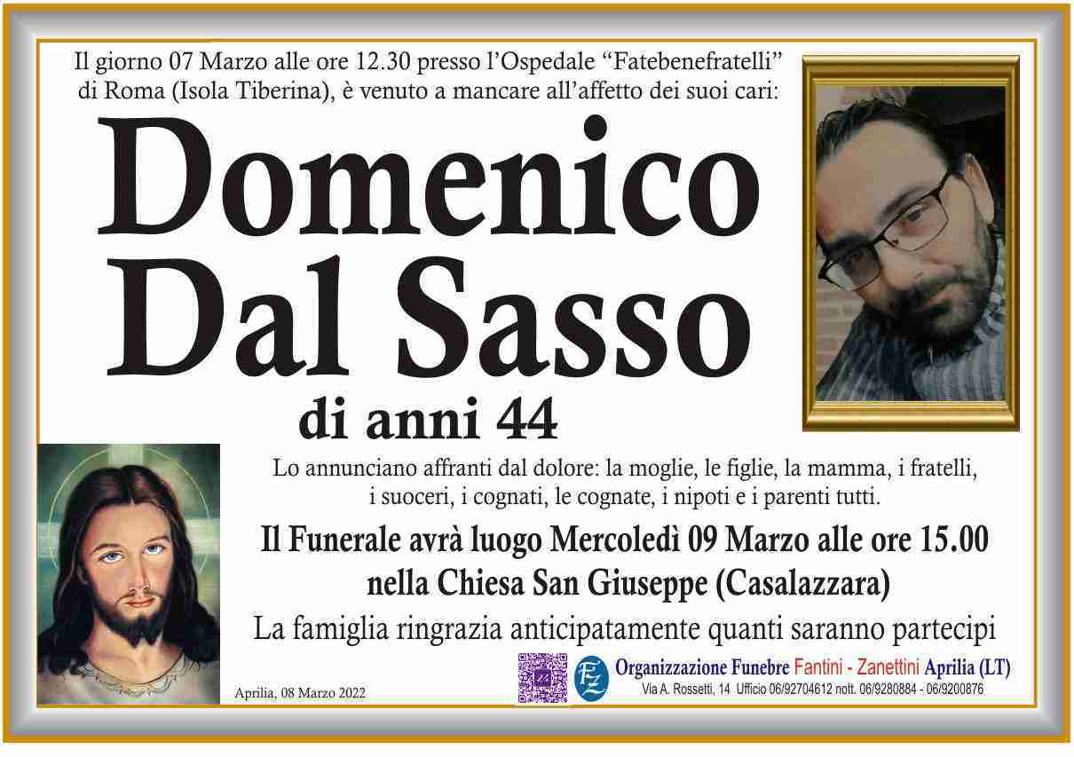 Domenico Dal Sasso