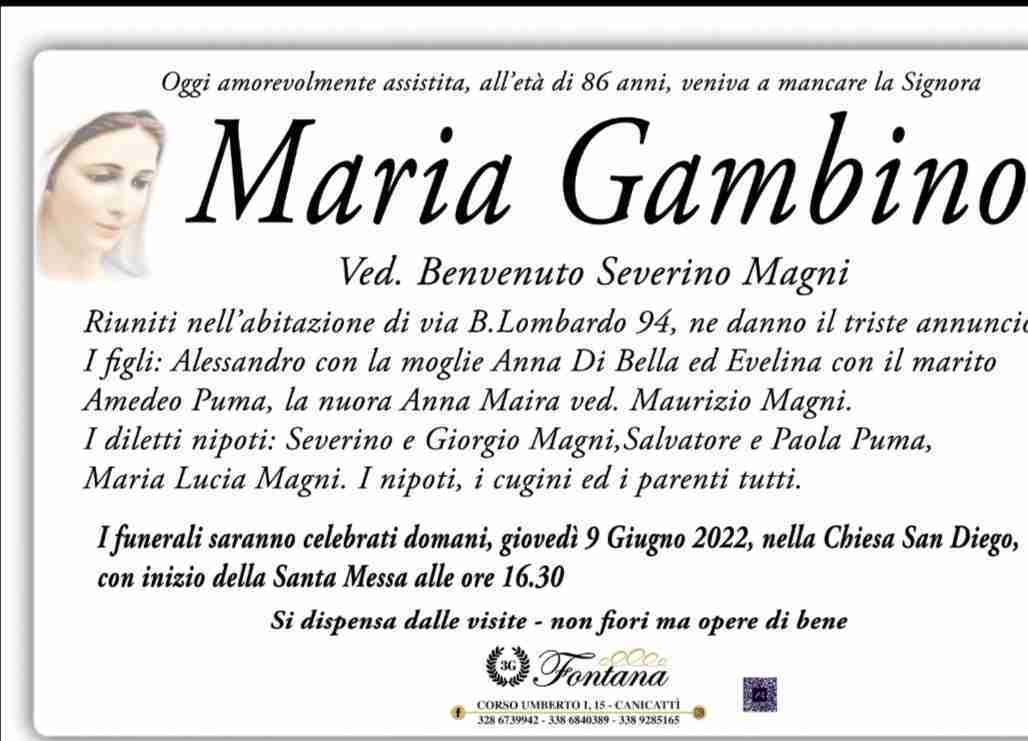 Maria Gambino