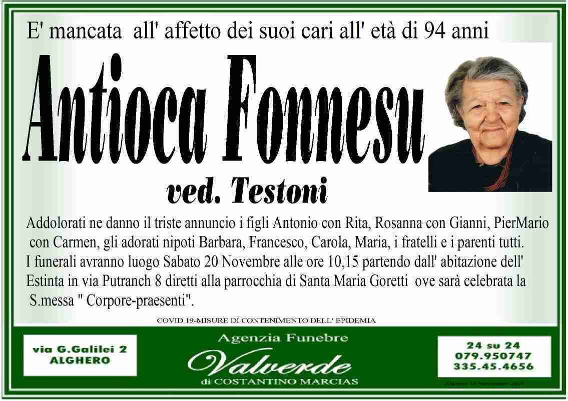 Antioca Fonnesu