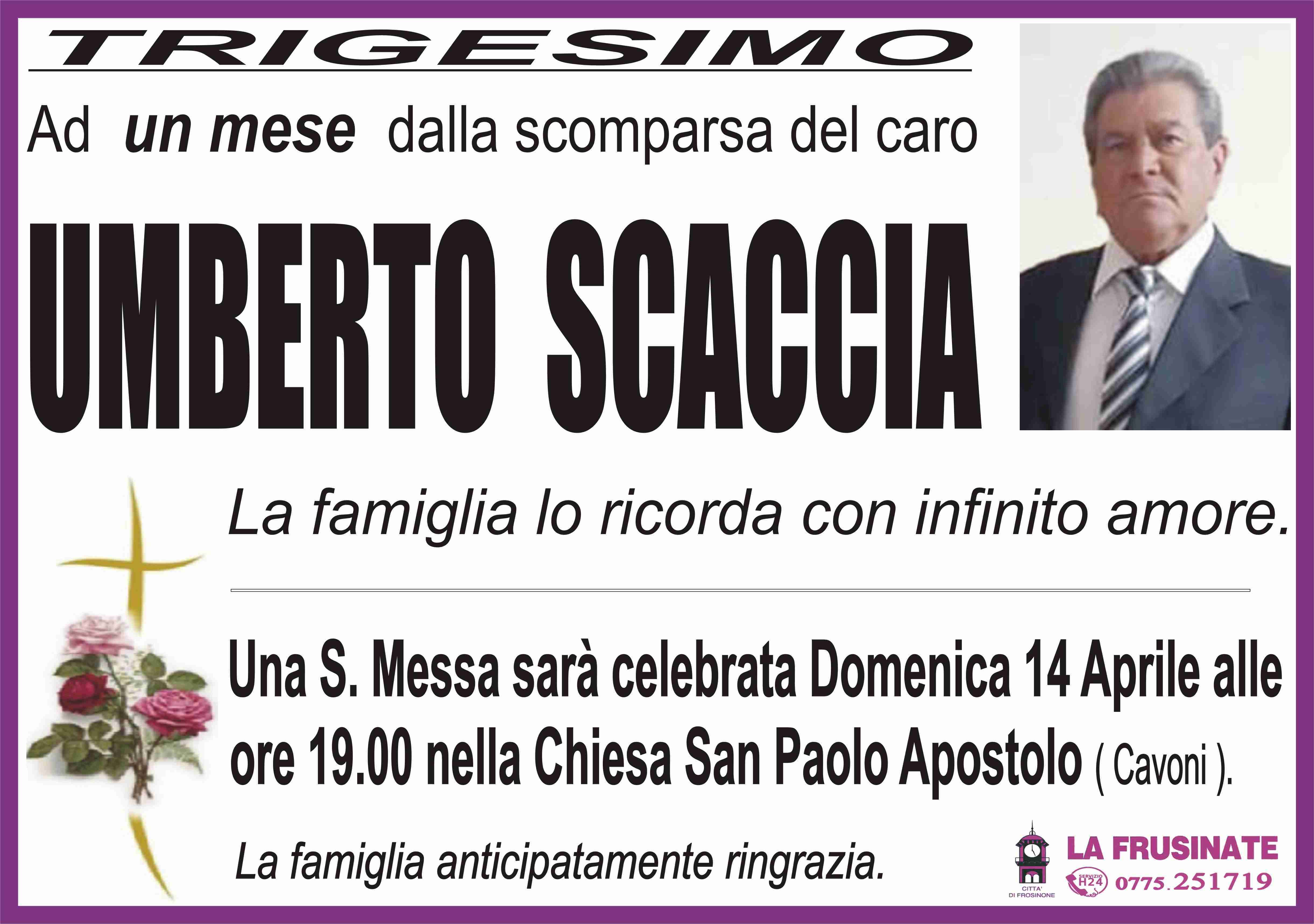 Umberto Scaccia