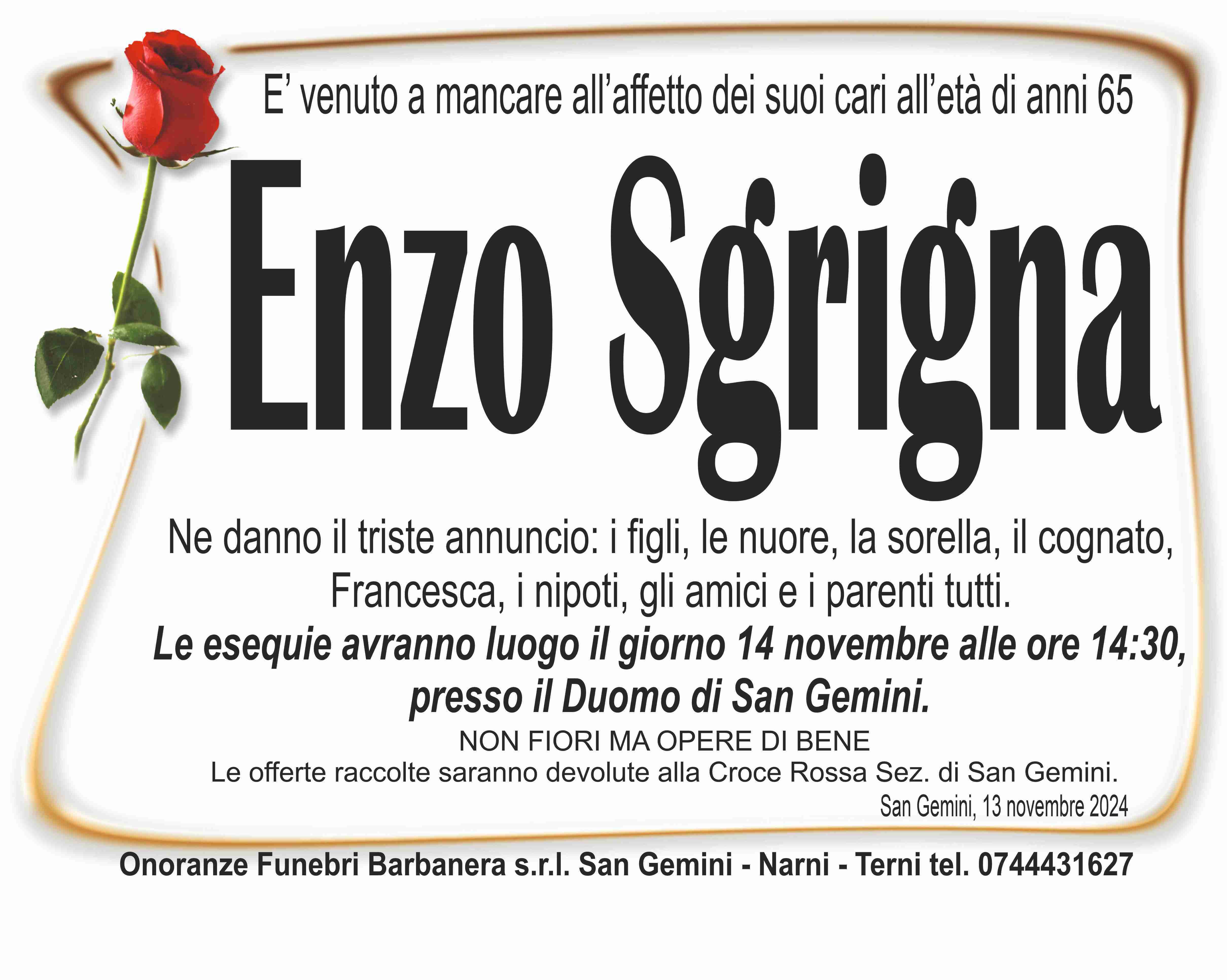 Enzo Sgrigna