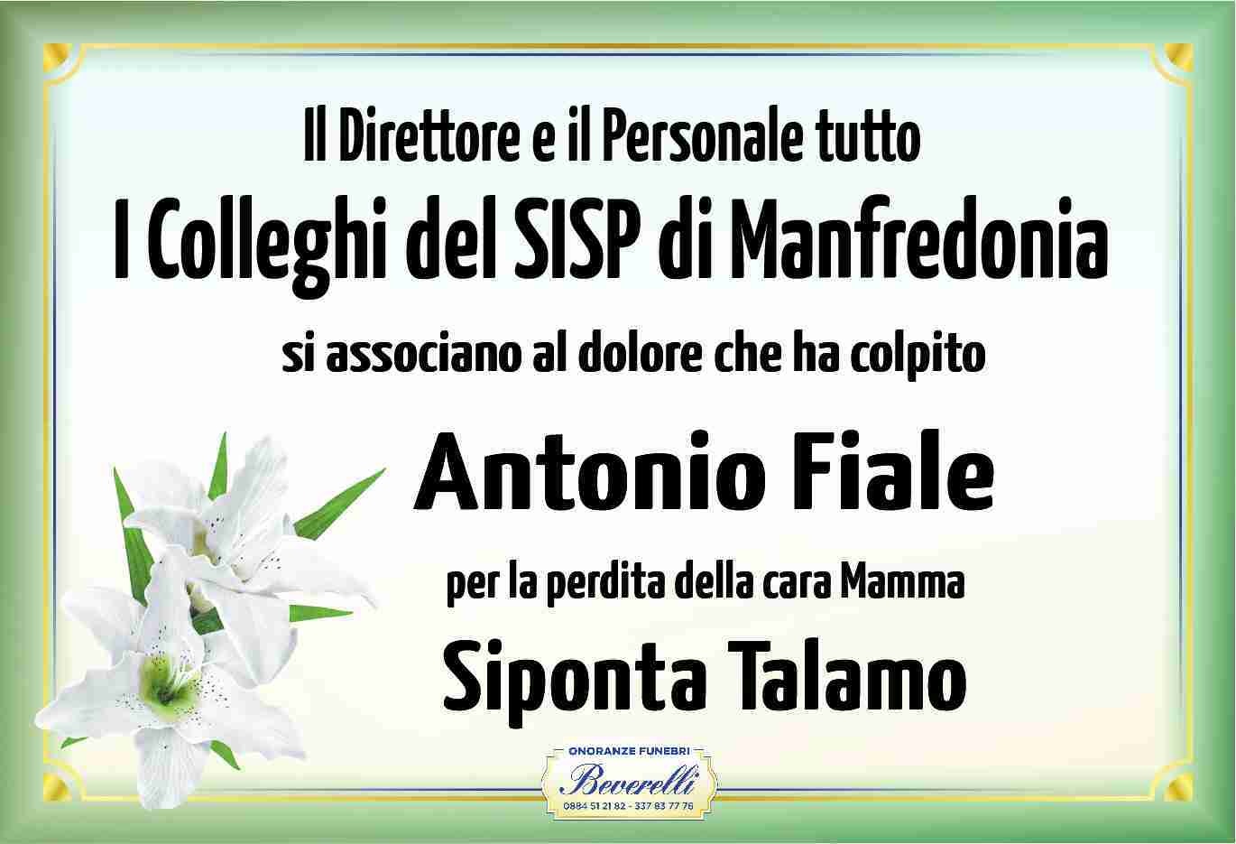 Siponta Talamo