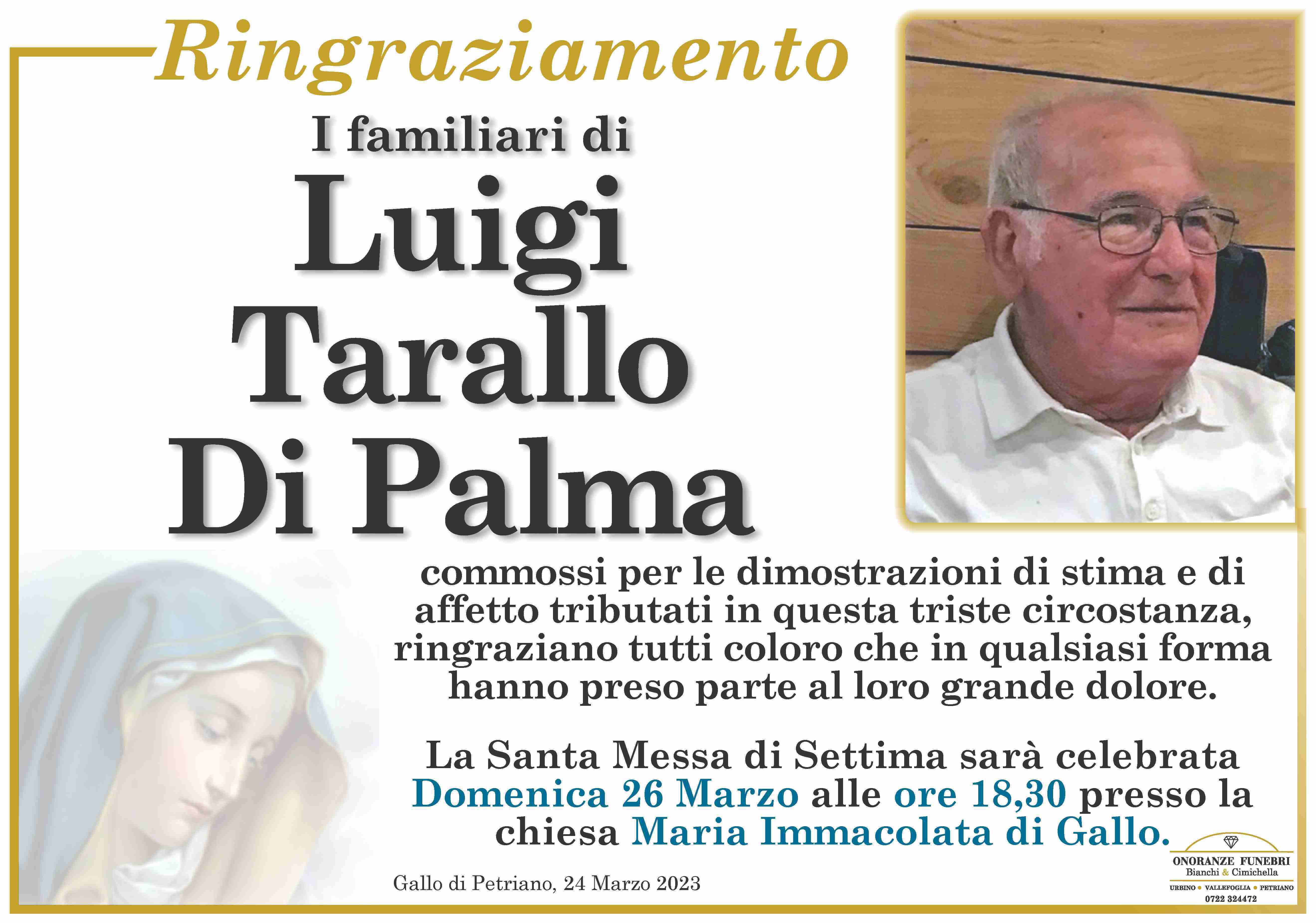 Luigi Tarallo Di Palma