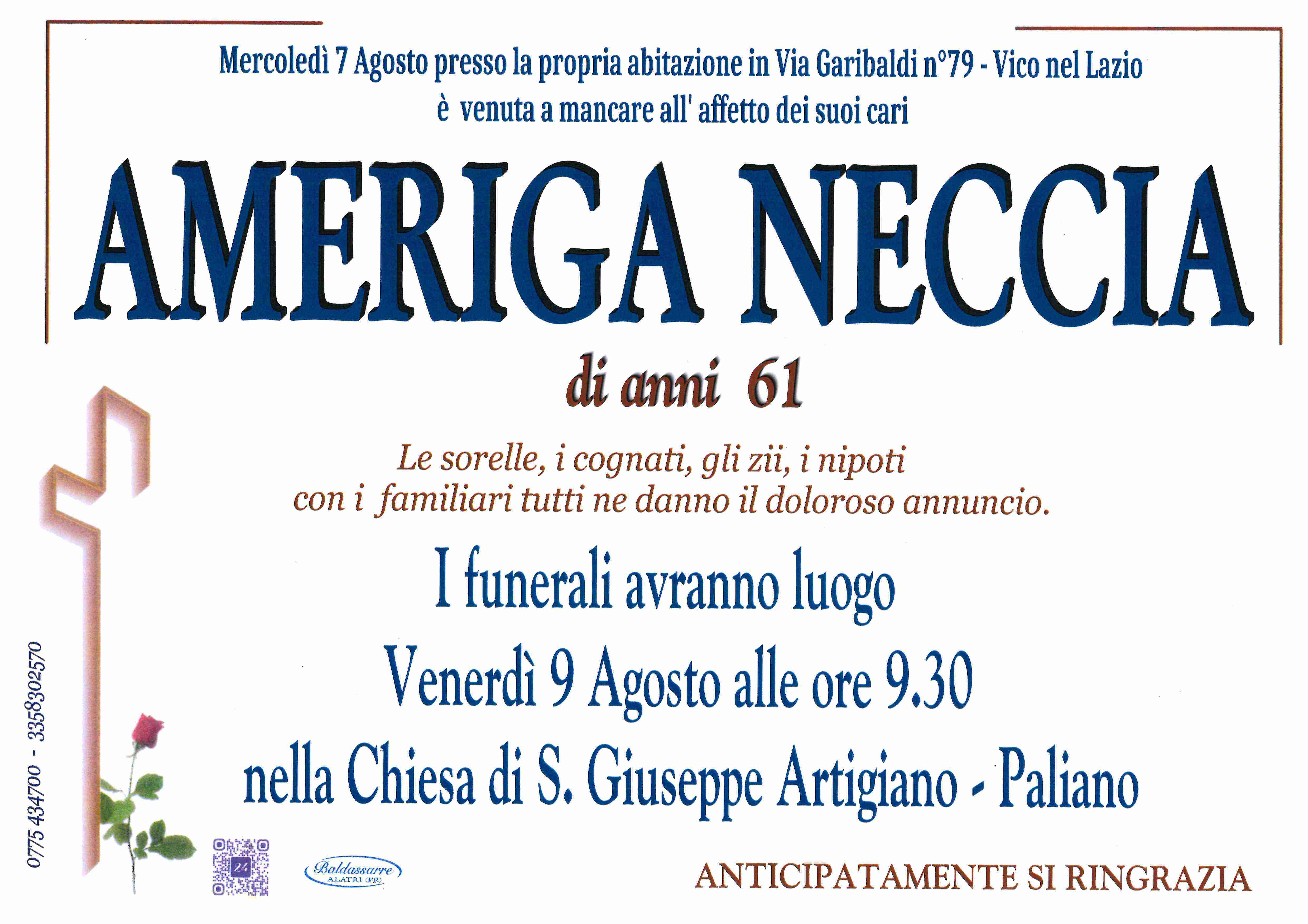 Ameriga Neccia