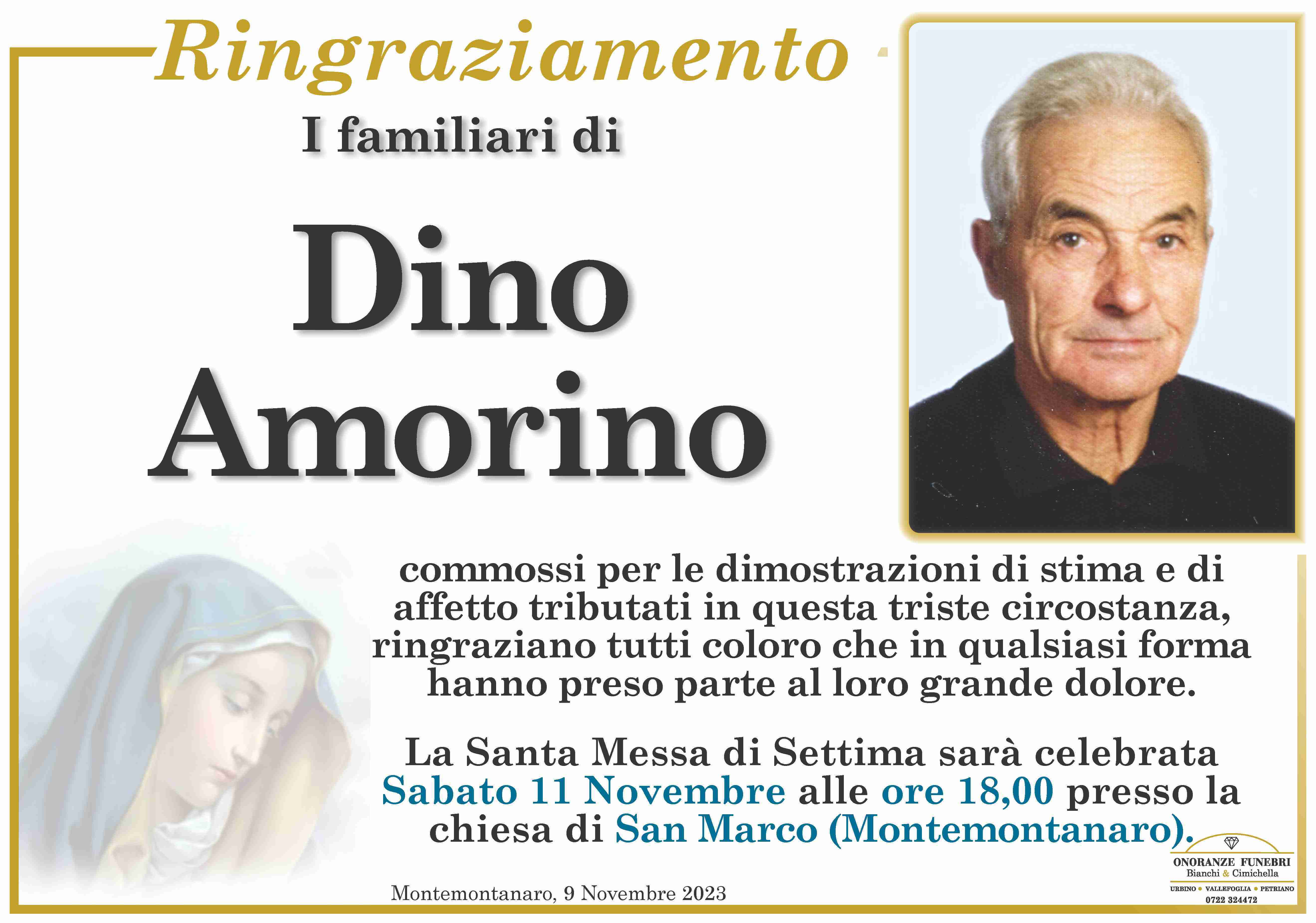 Dino Amorino
