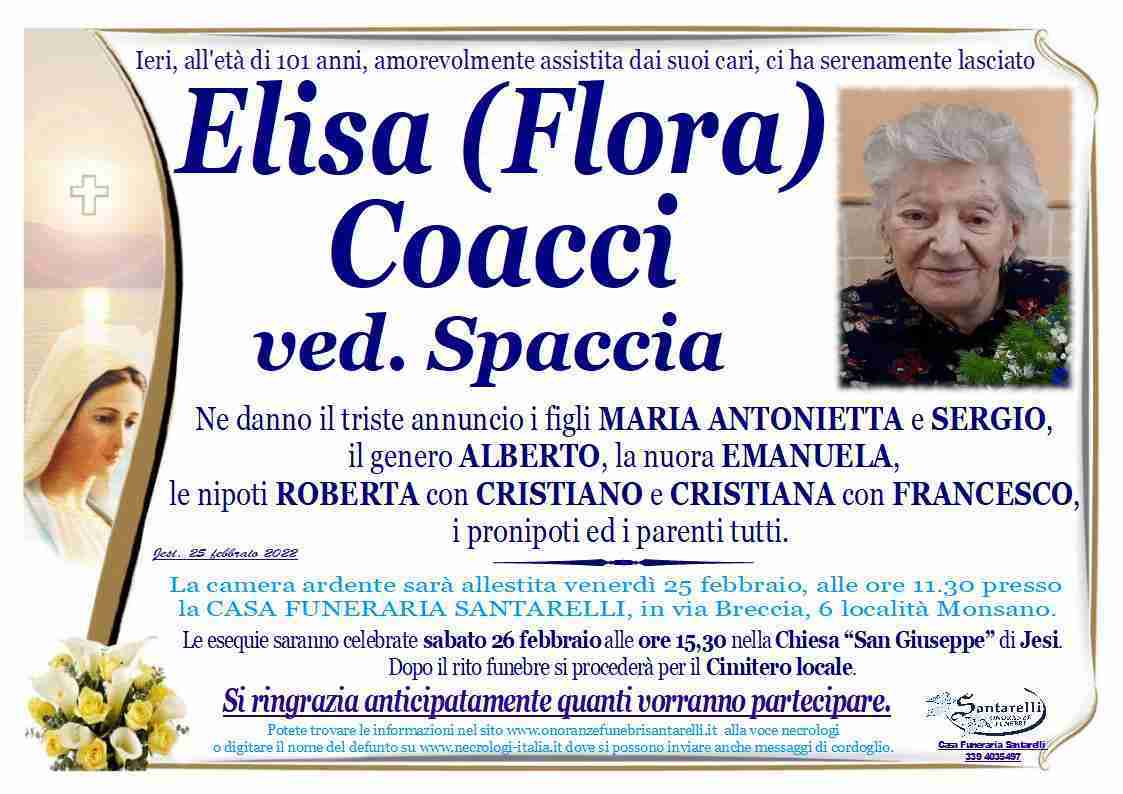 Elisa (Flora) Coacci