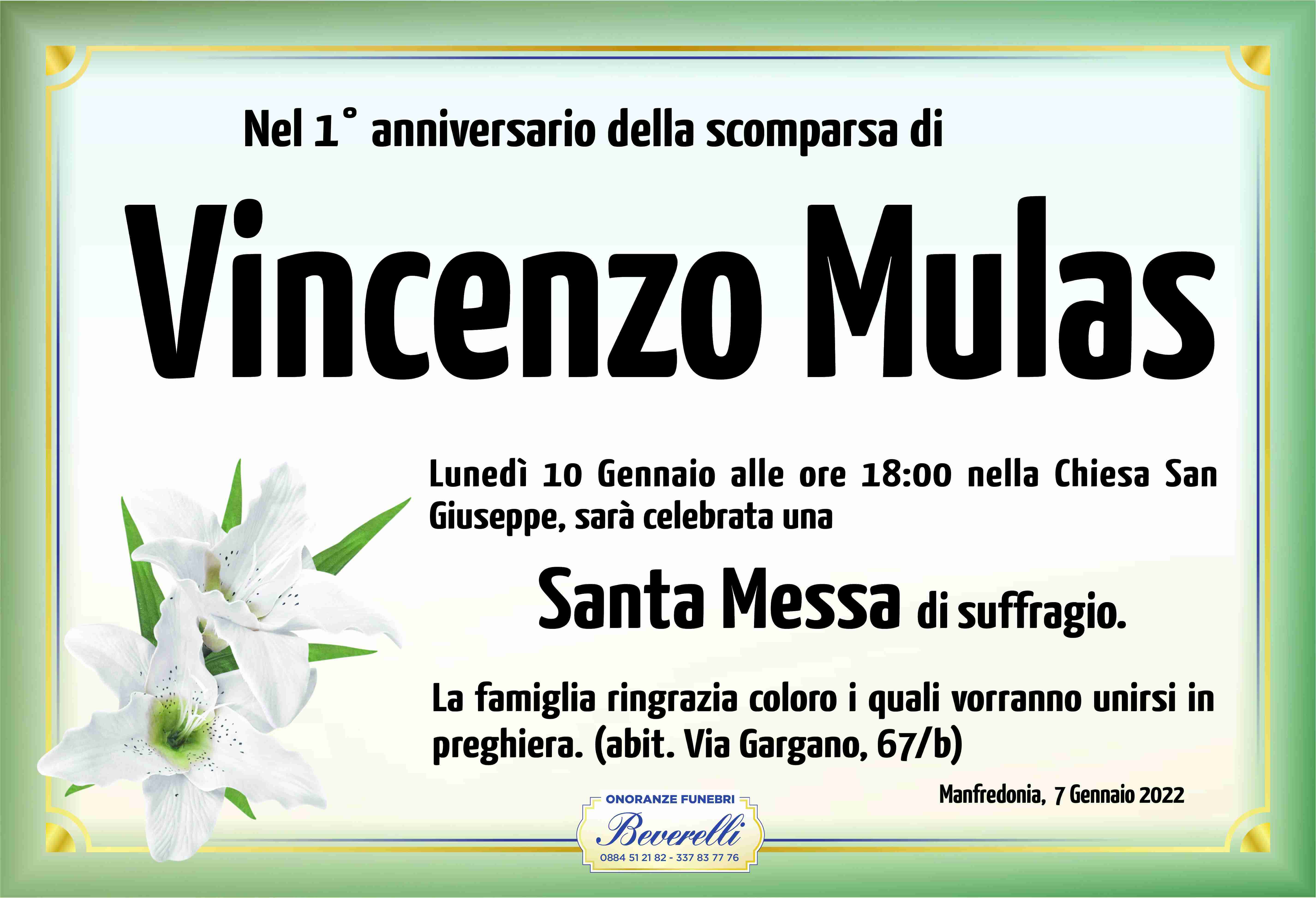 Vincenzo Mulas