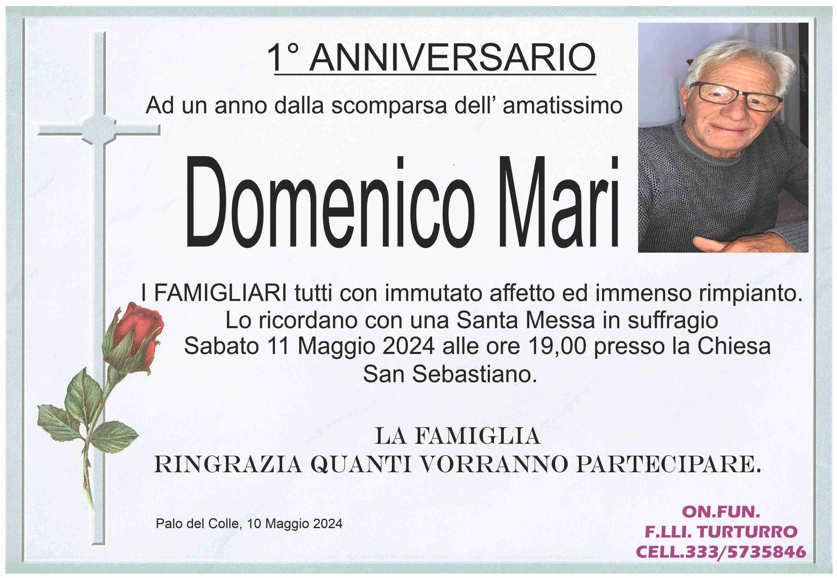 Domenico Mari