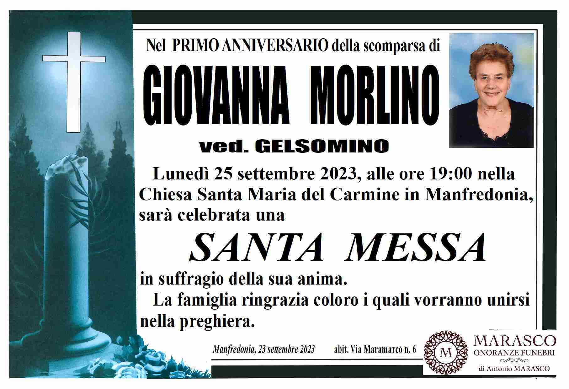 Giovanna Morlino