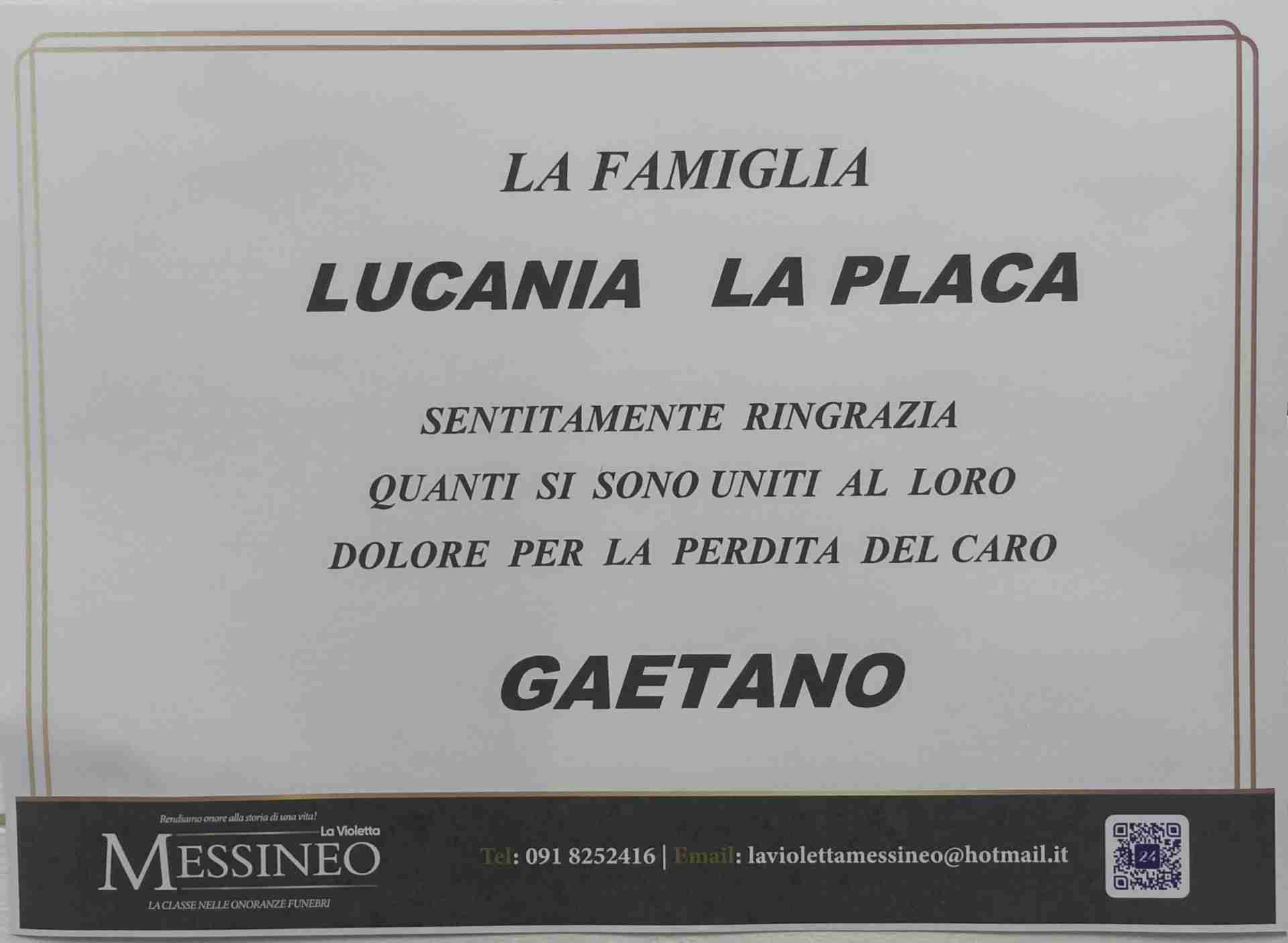 Gaetano Lucania