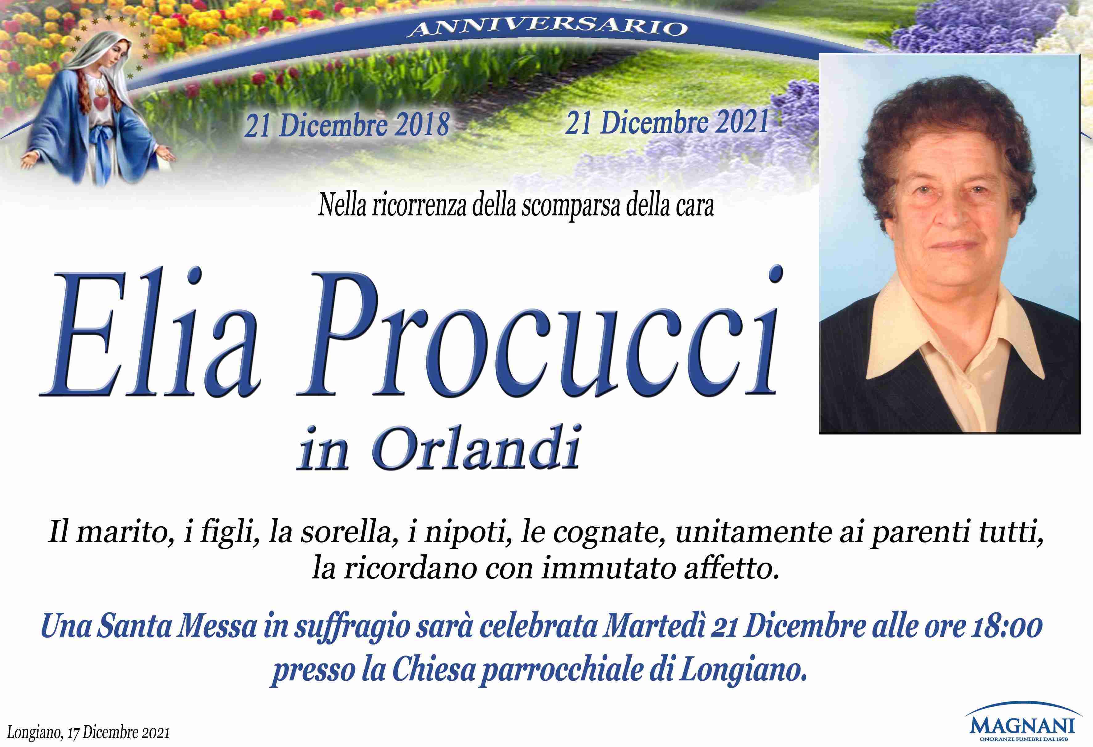 Elia Procucci