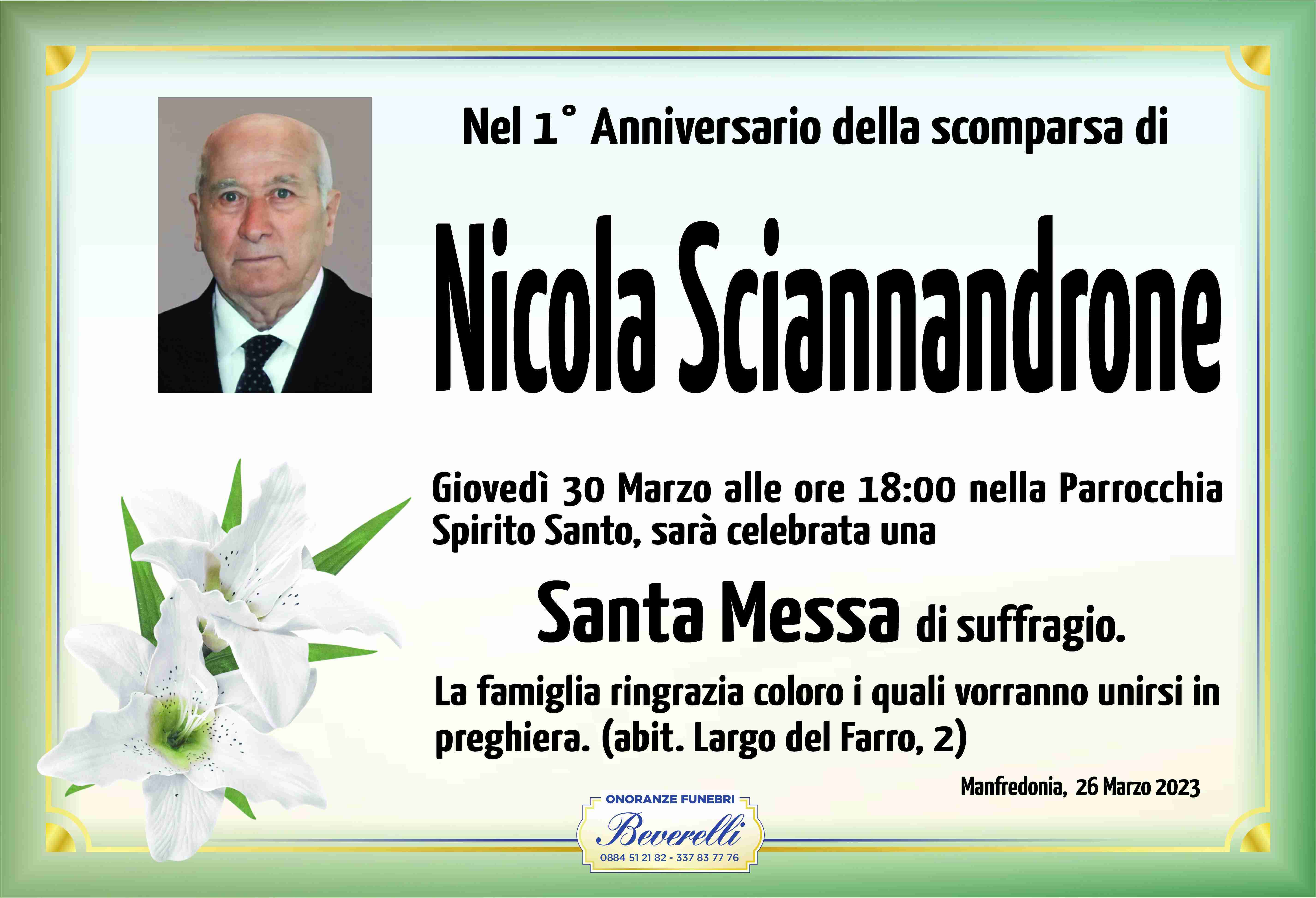Nicola Sciannandrone