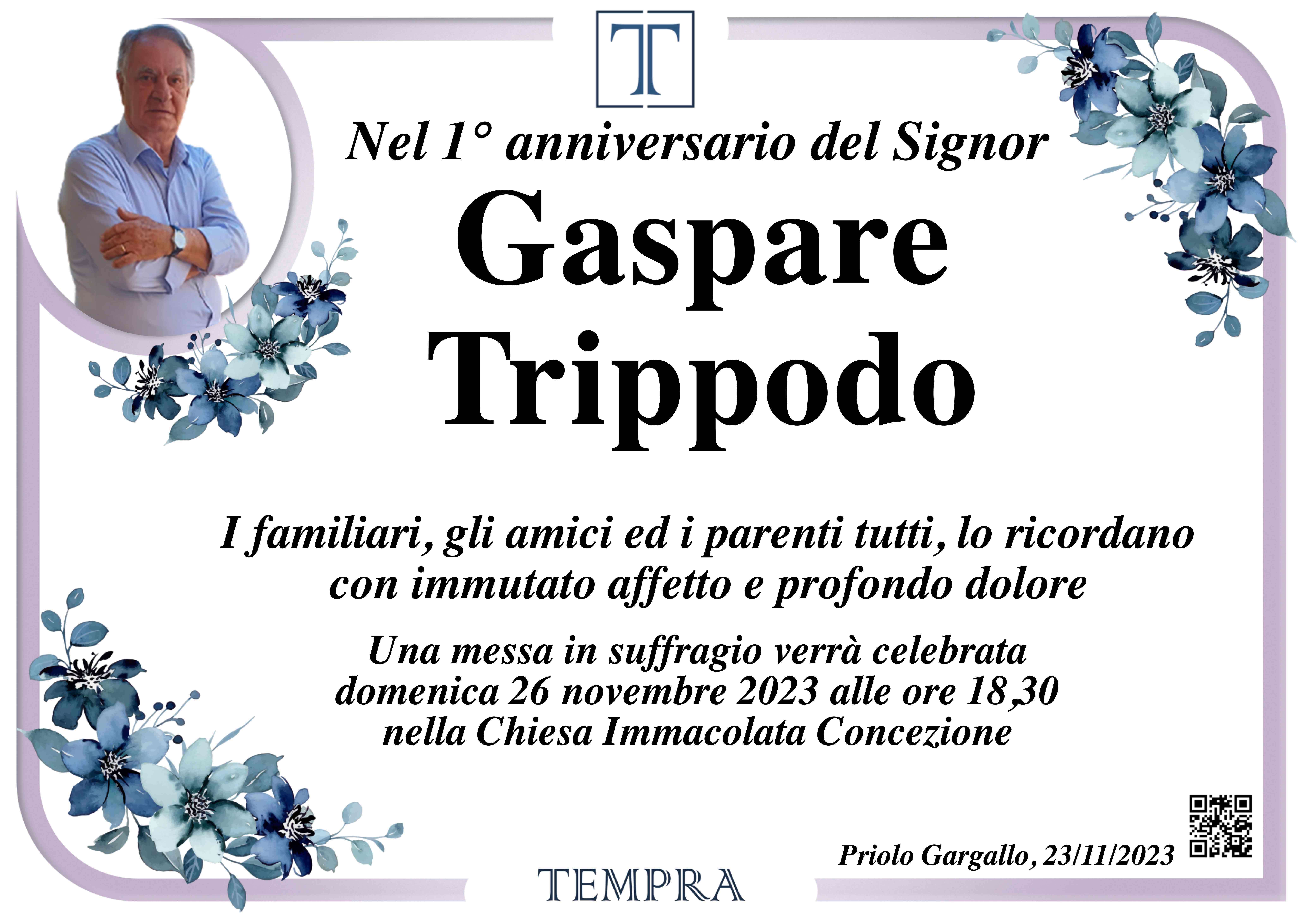 Gaspare Trippodo