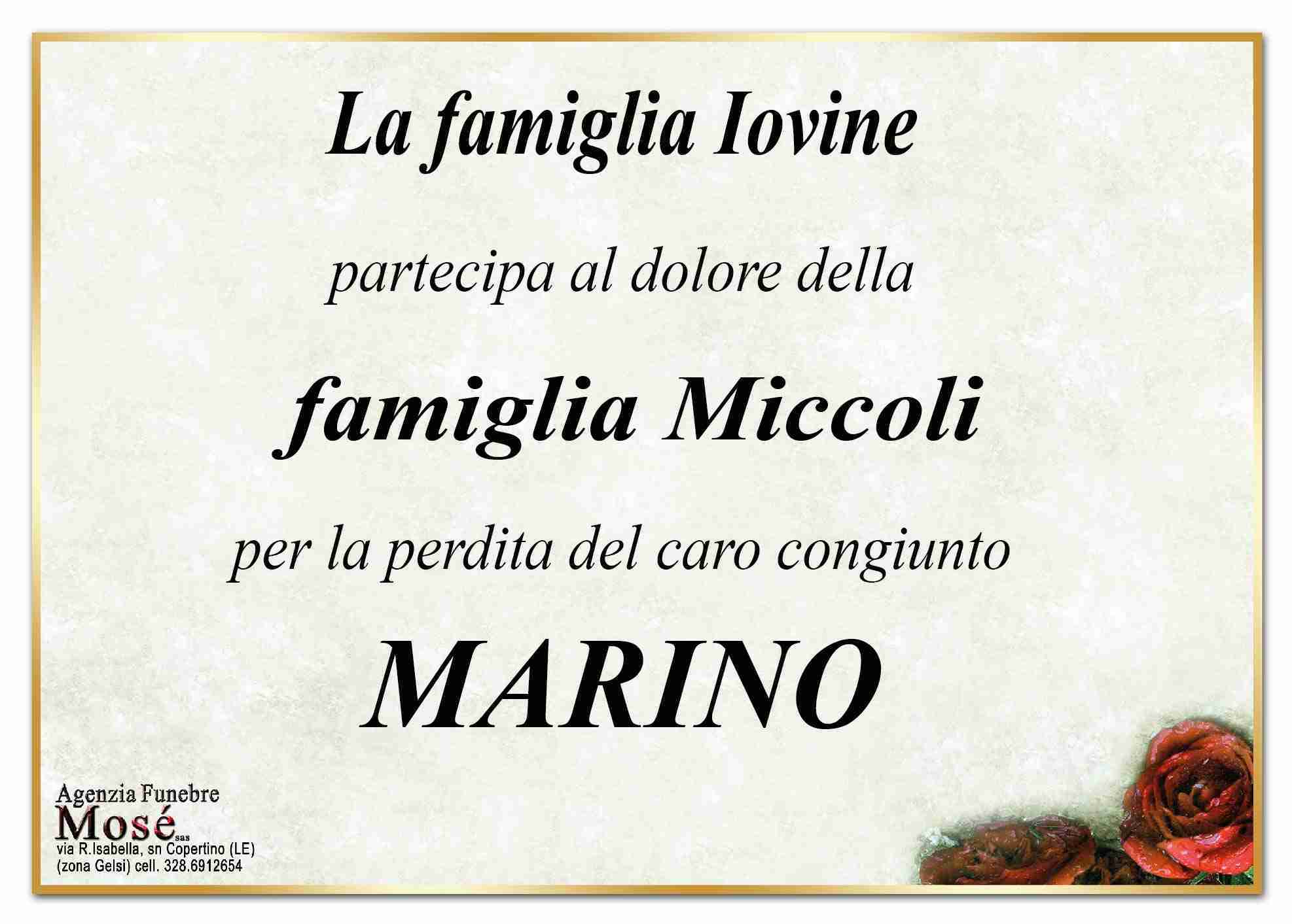 Marino Miccoli