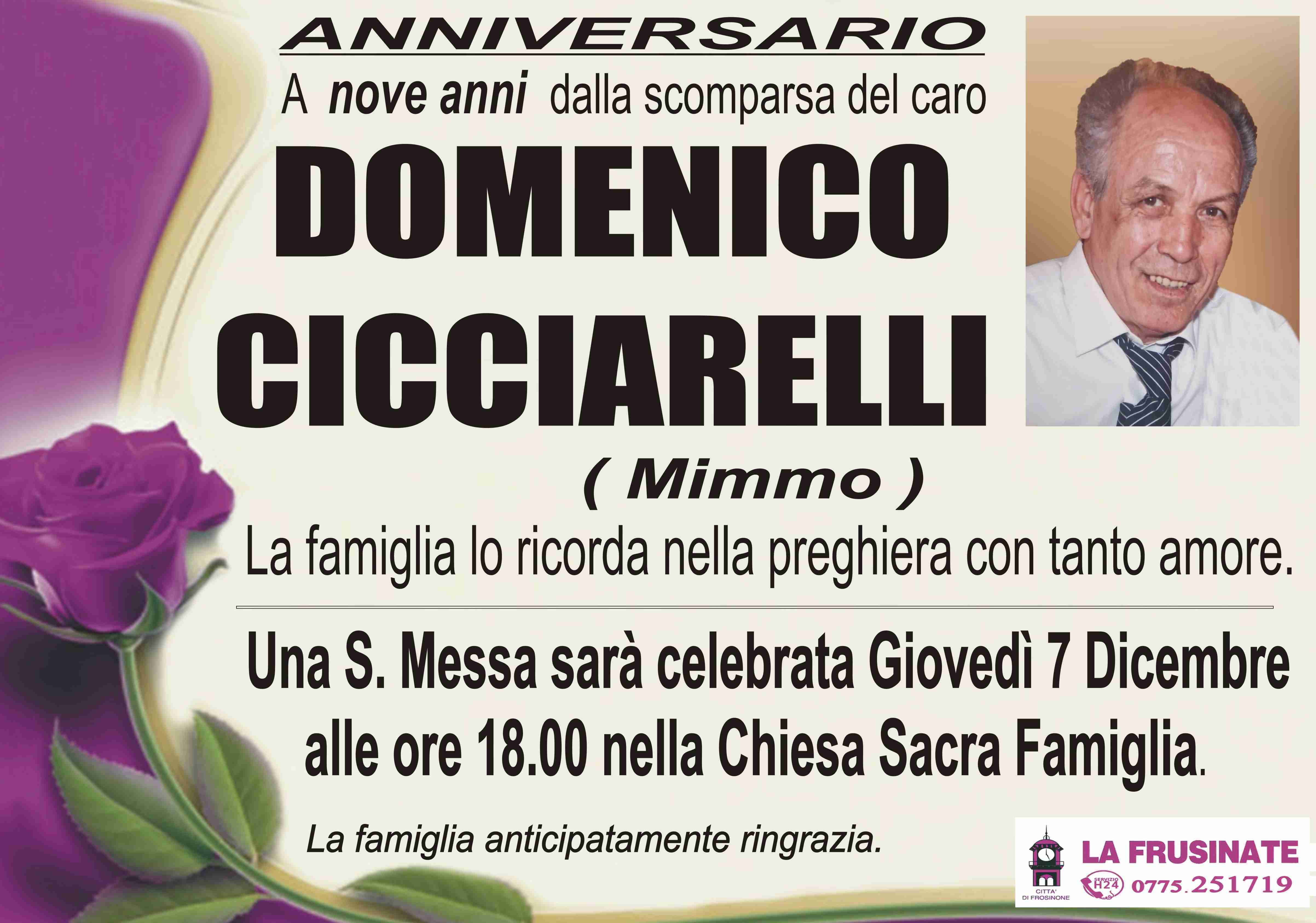 Domenico Cicciarelli