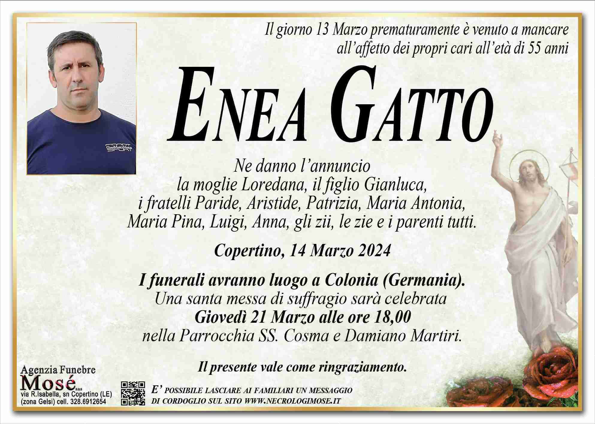 Enea Gatto