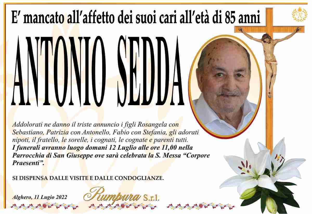 Antonio Sedda