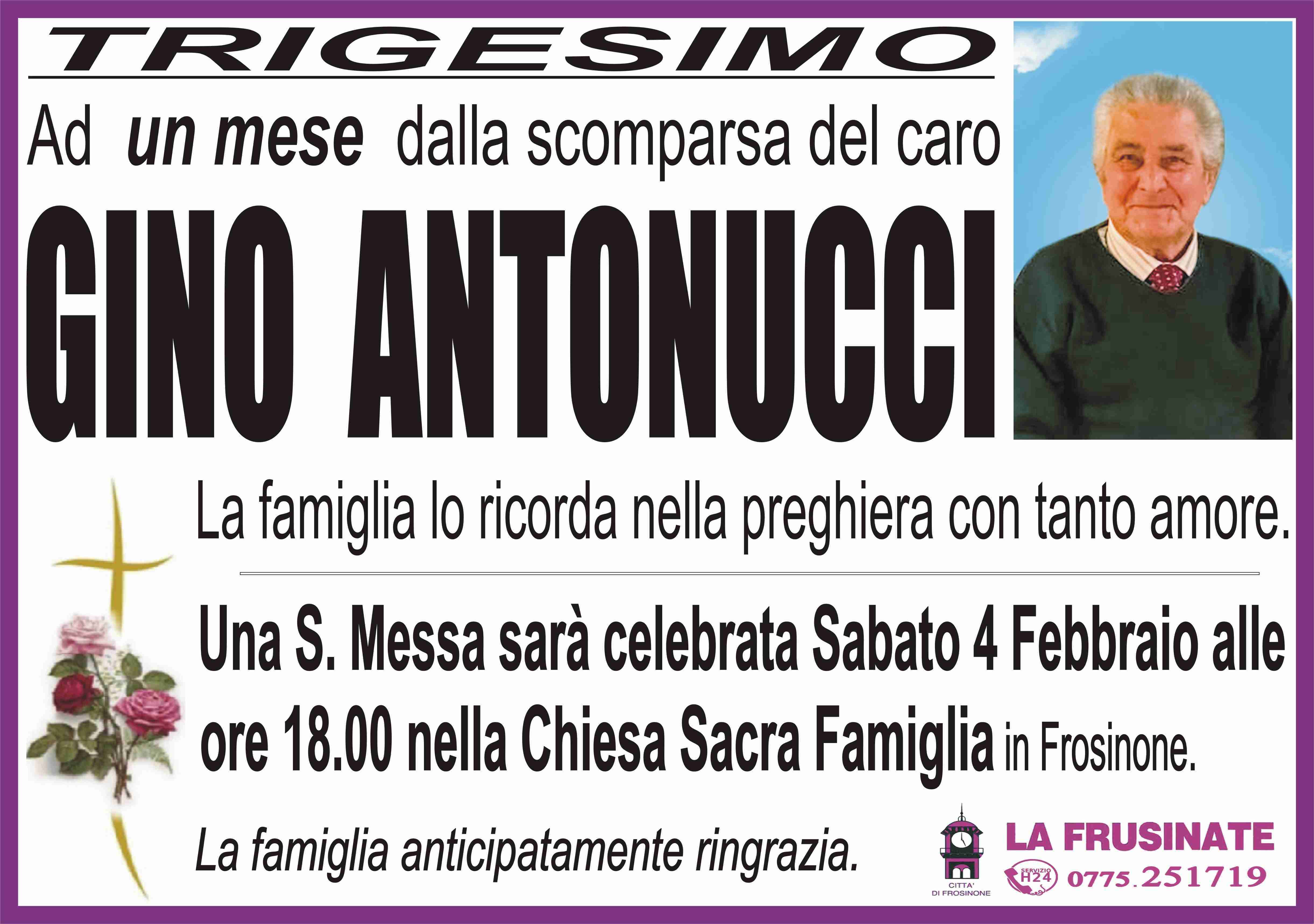 Gino Antonucci