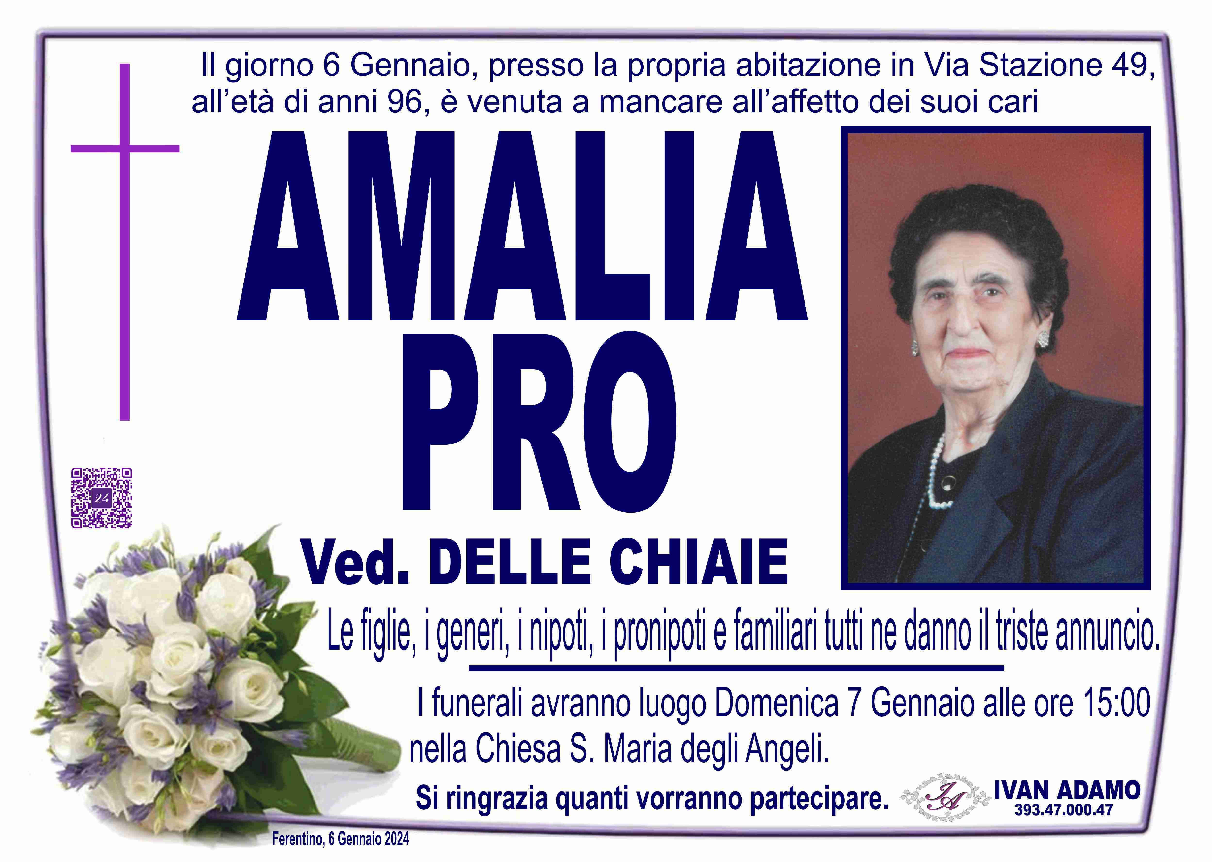 Amalia Pro