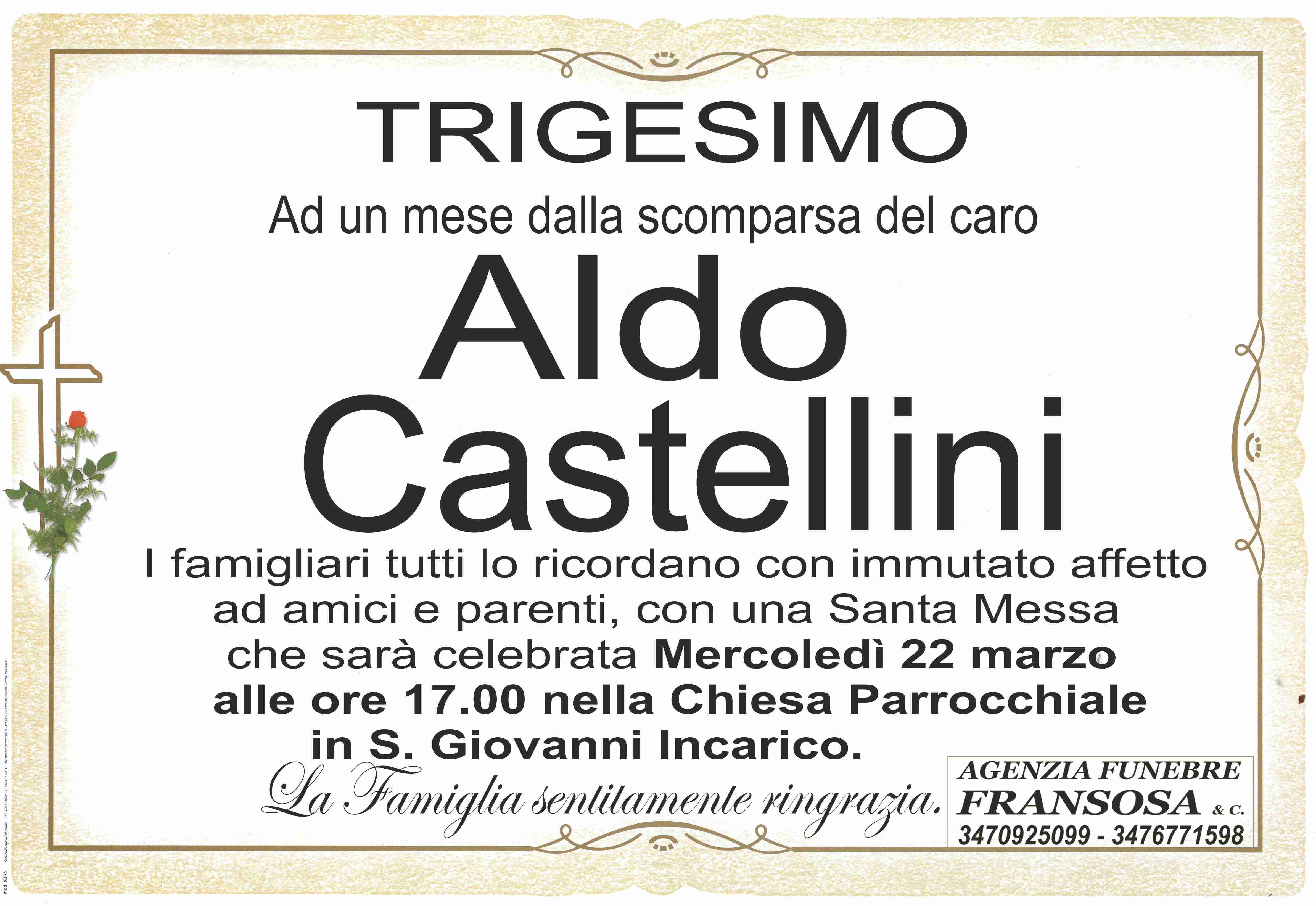 Aldo Castellini