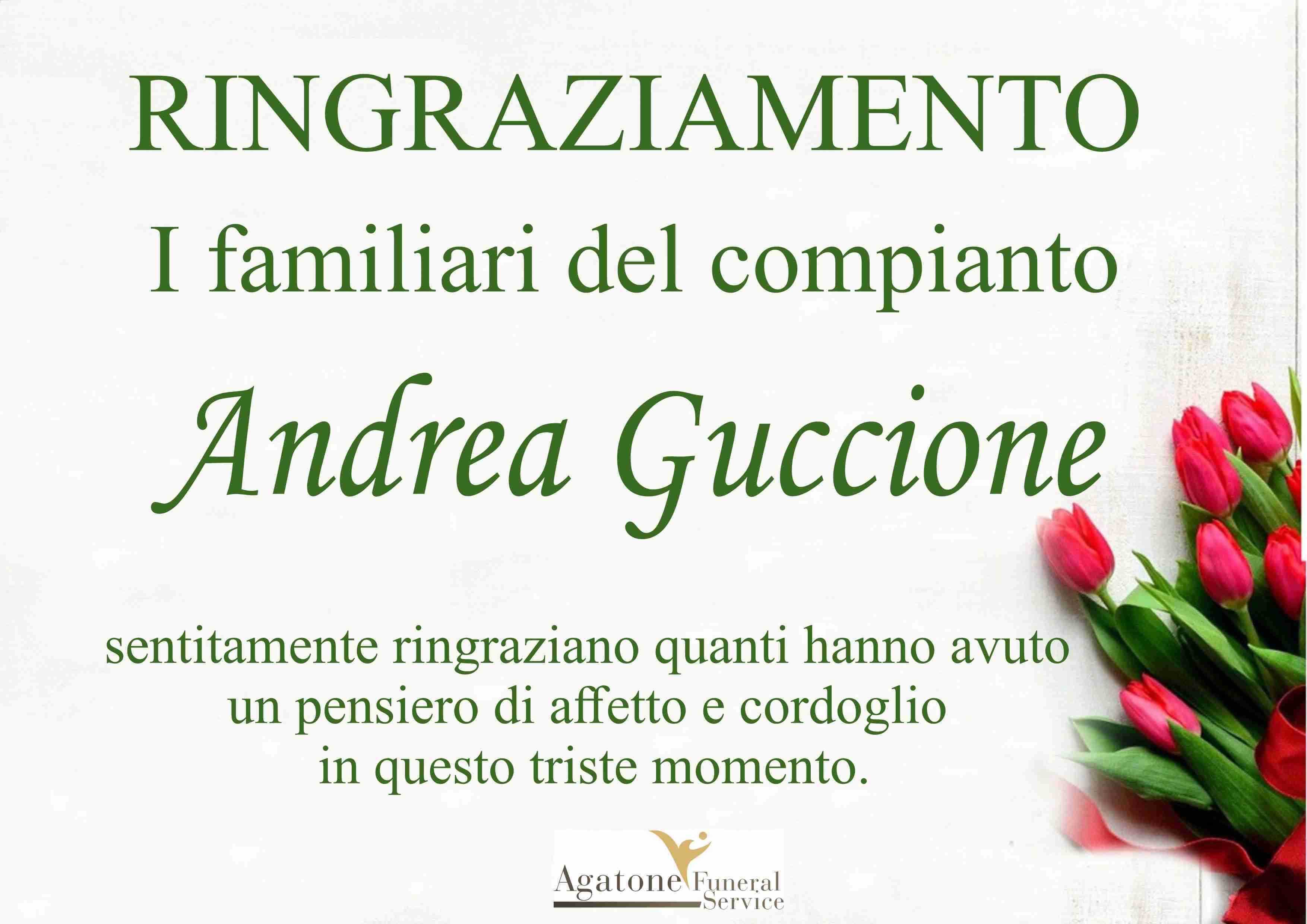 Andrea Guccione