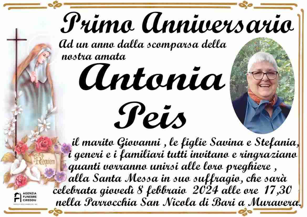 Antonia Peis