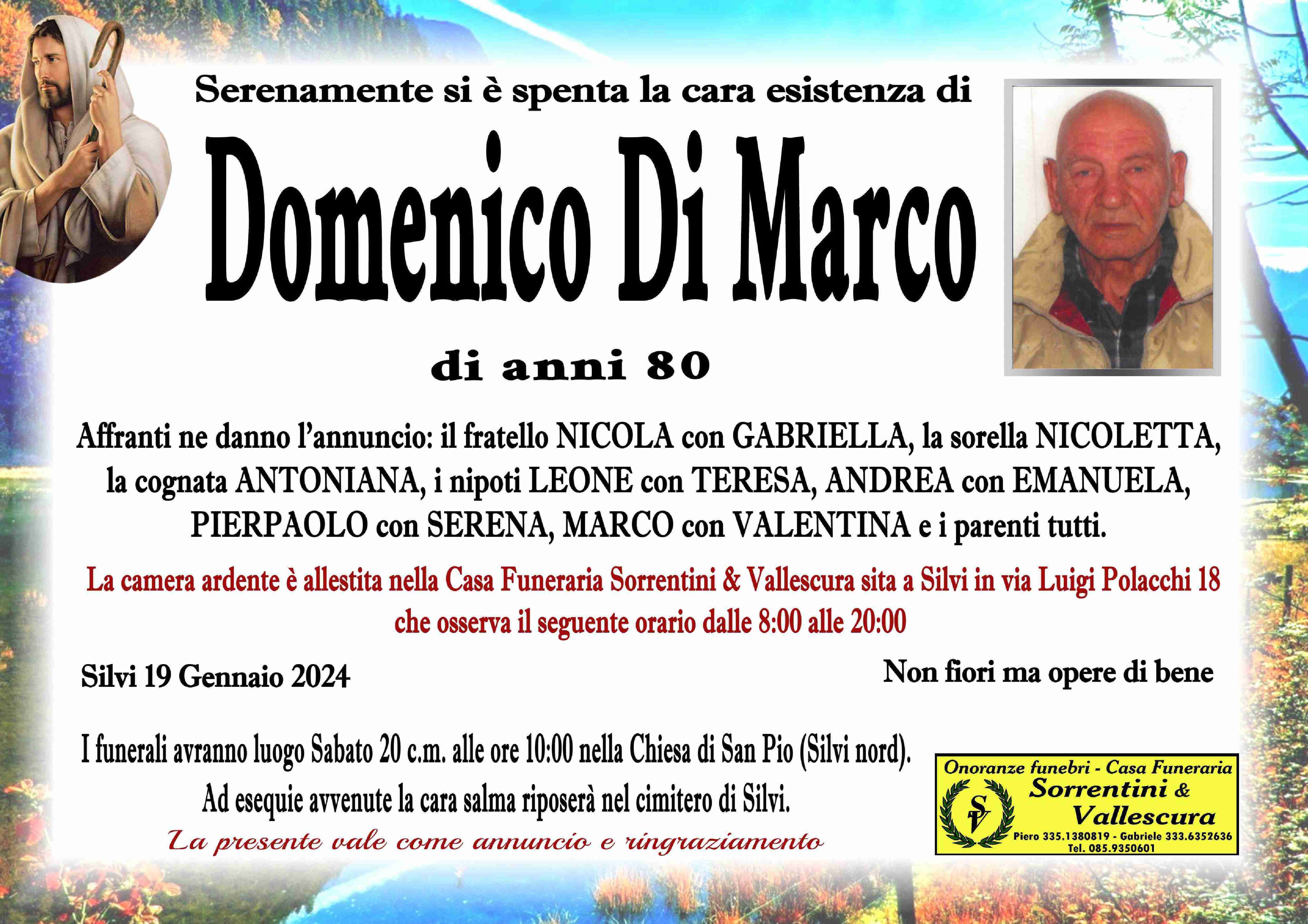 Domenico Di Marco