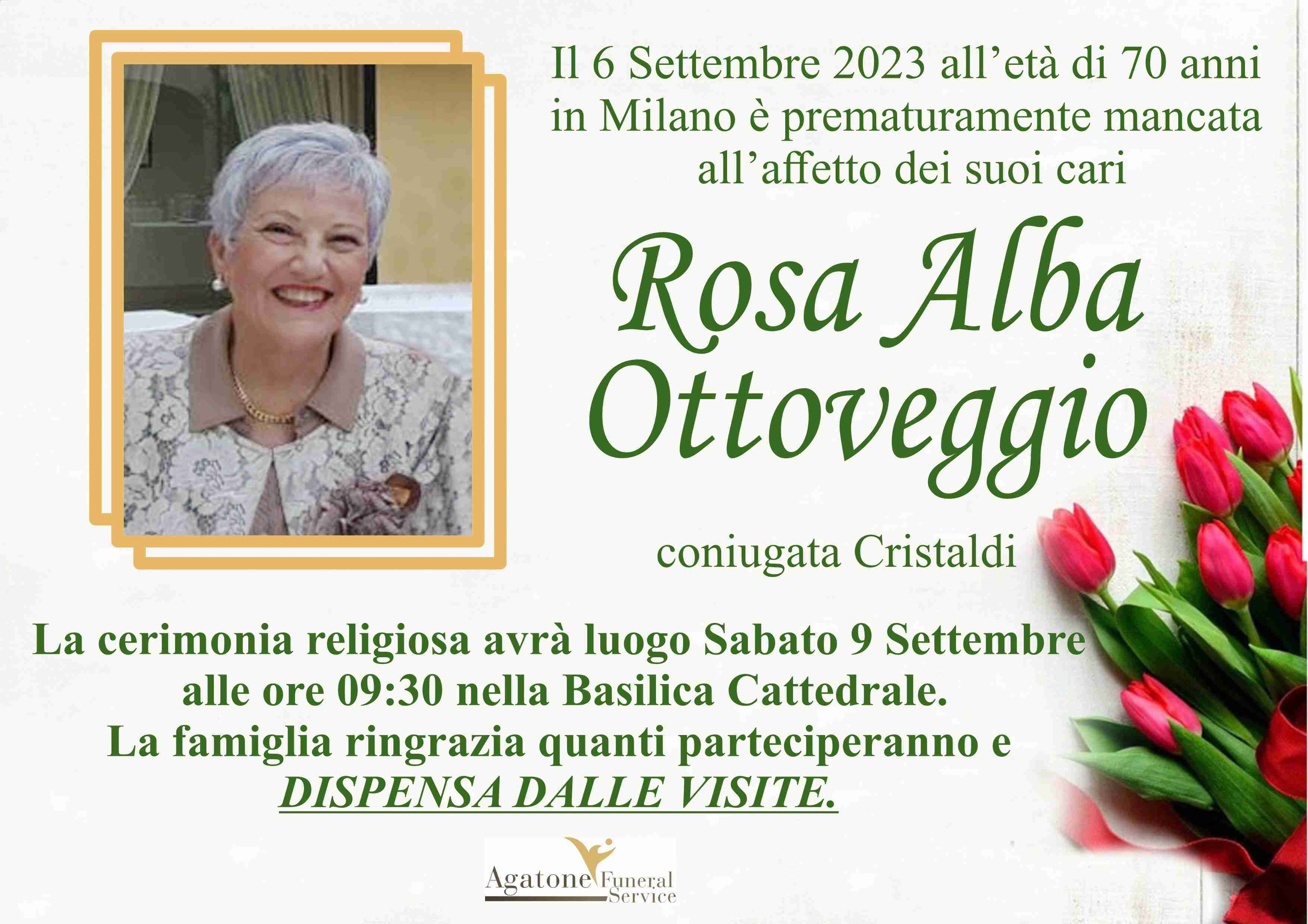Rosa Alba Ottoveggio