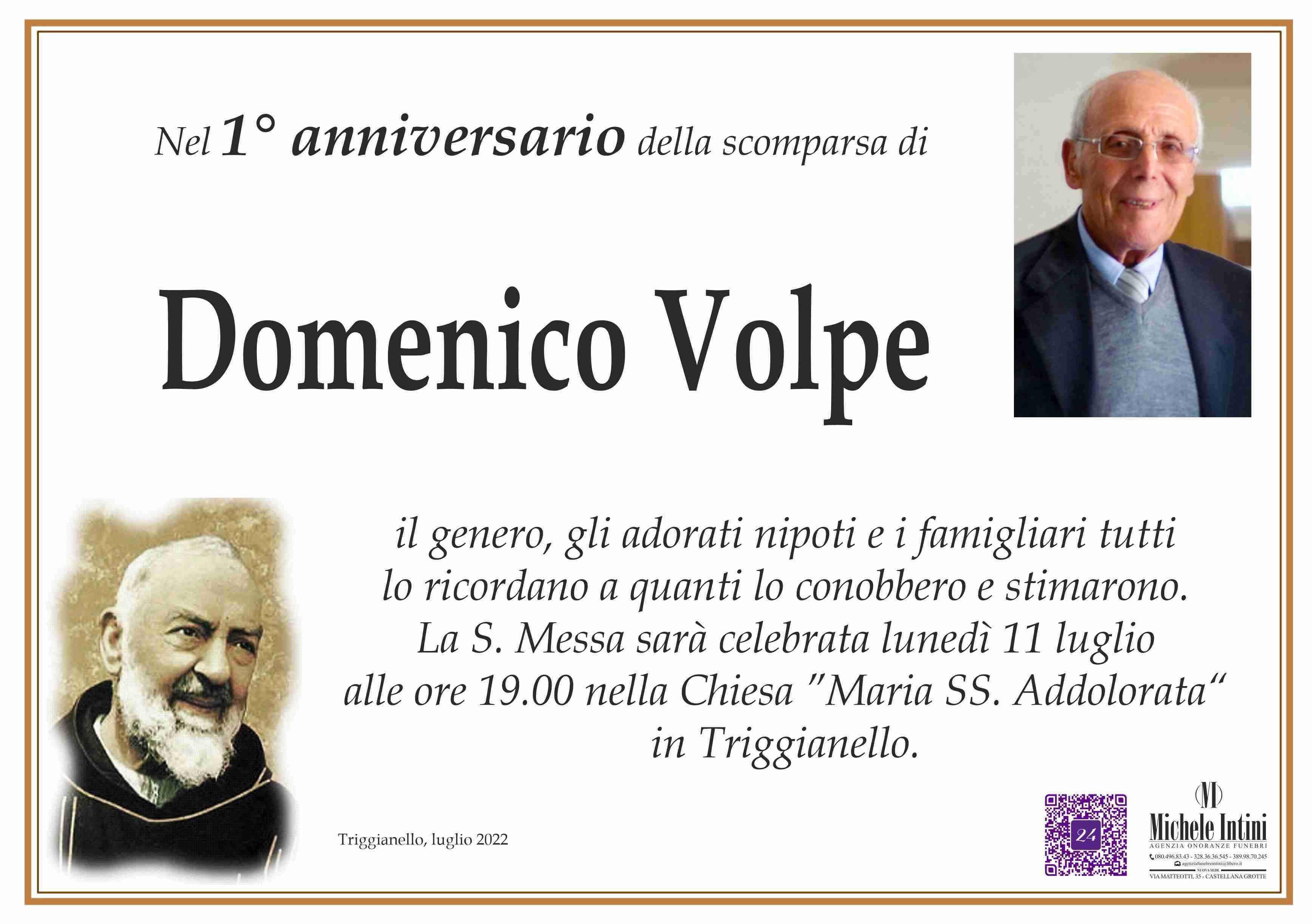 Domenico Volpe