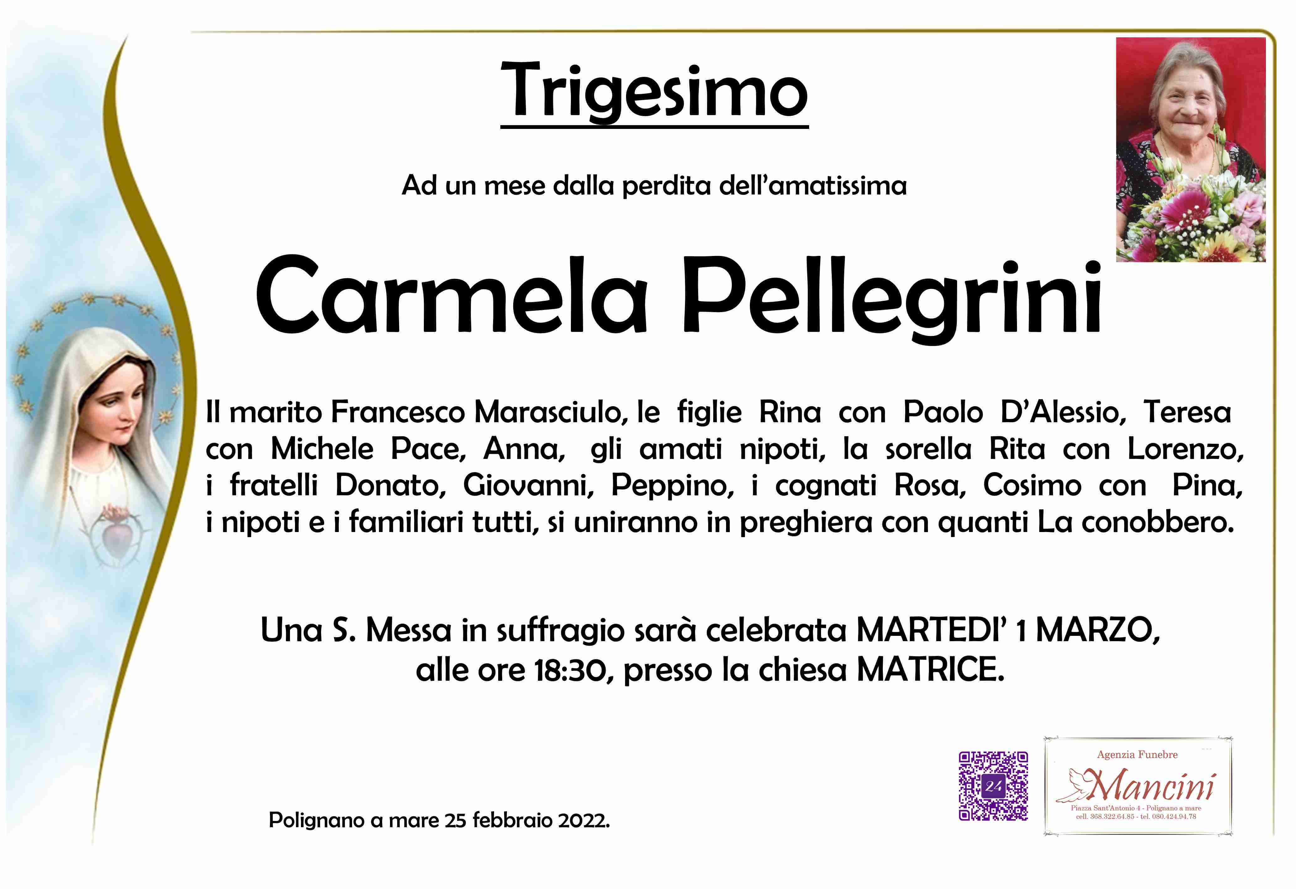 Carmela Pellegrini