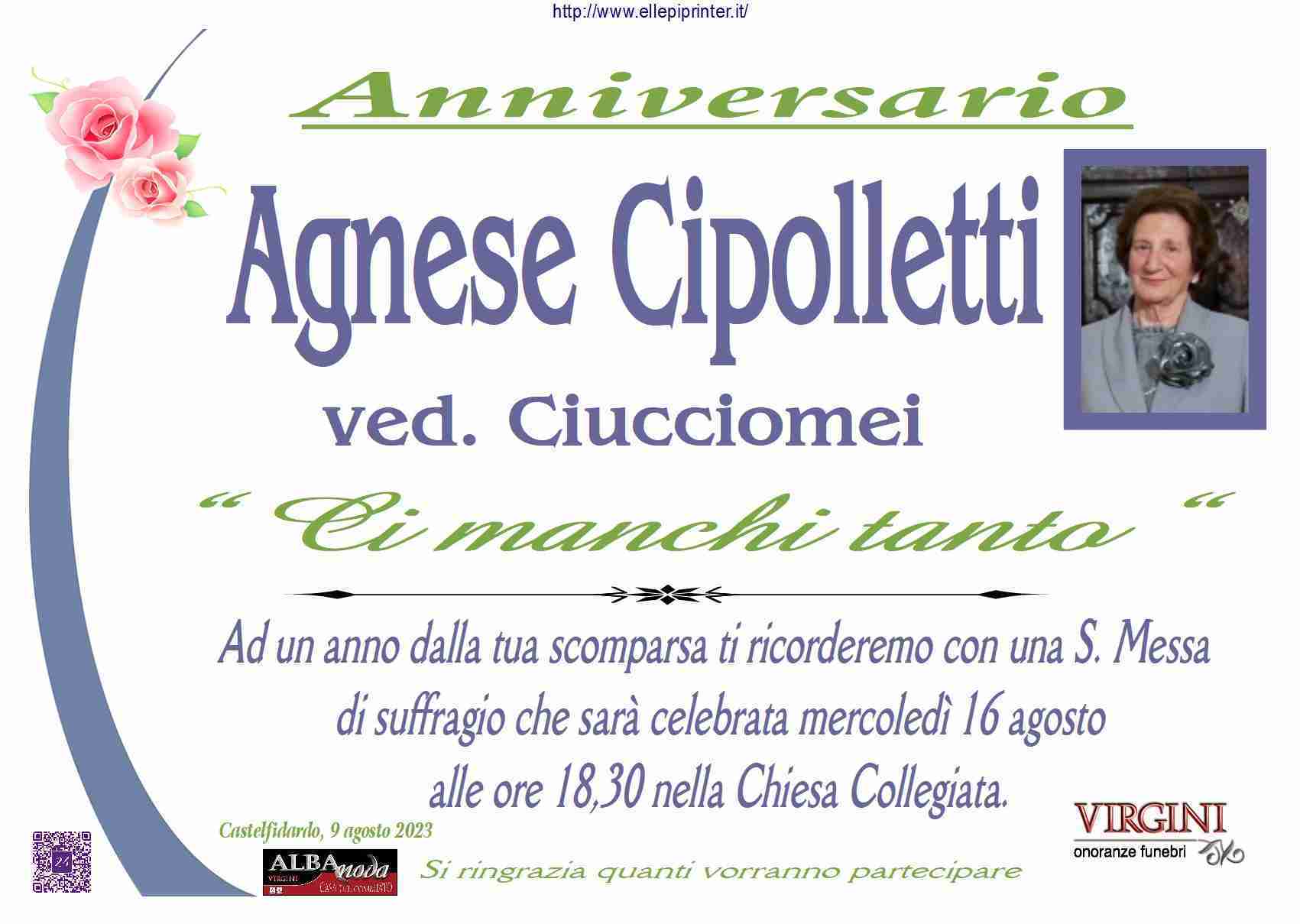 Agnese Cipolletti
