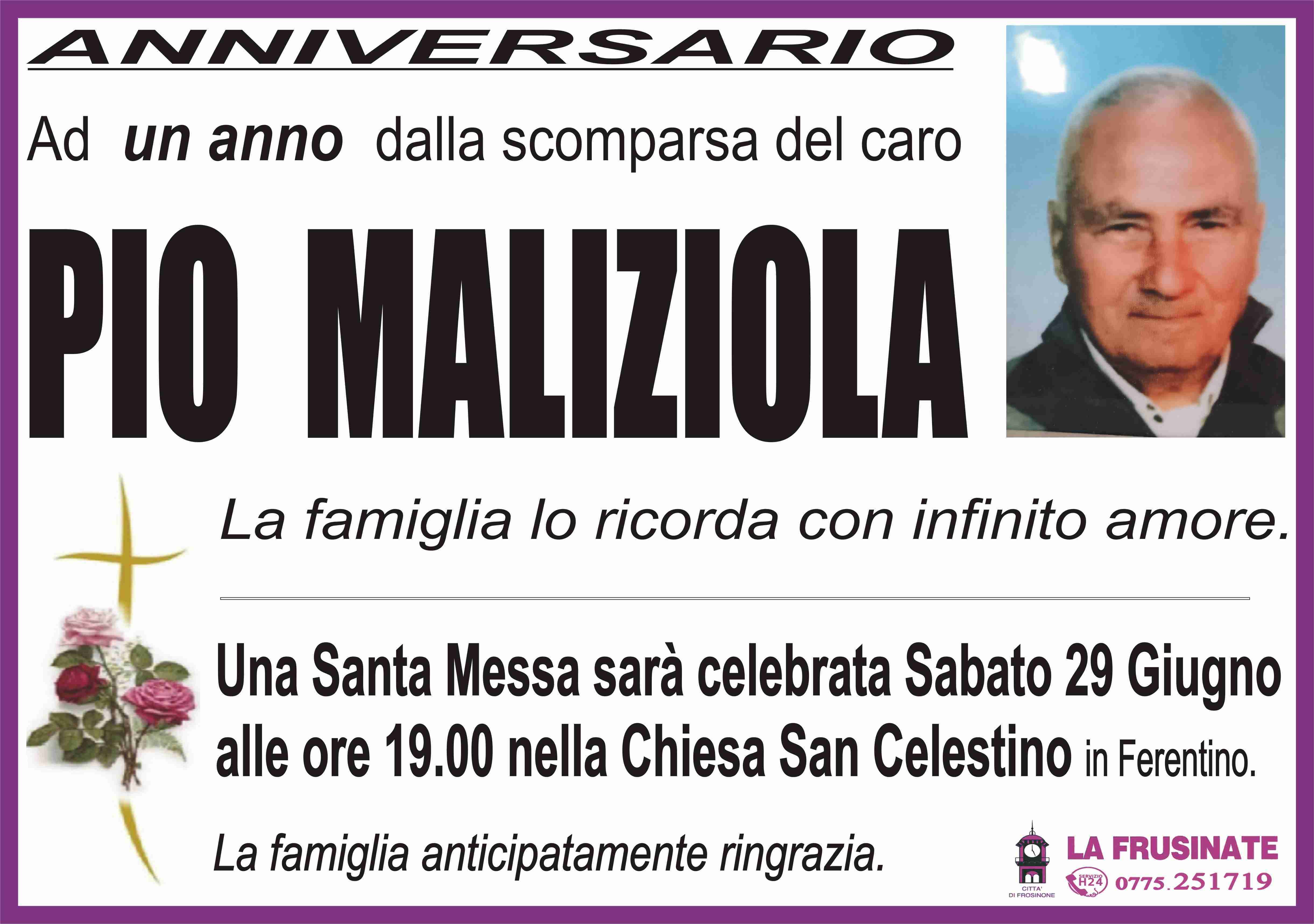 Pio Maliziola