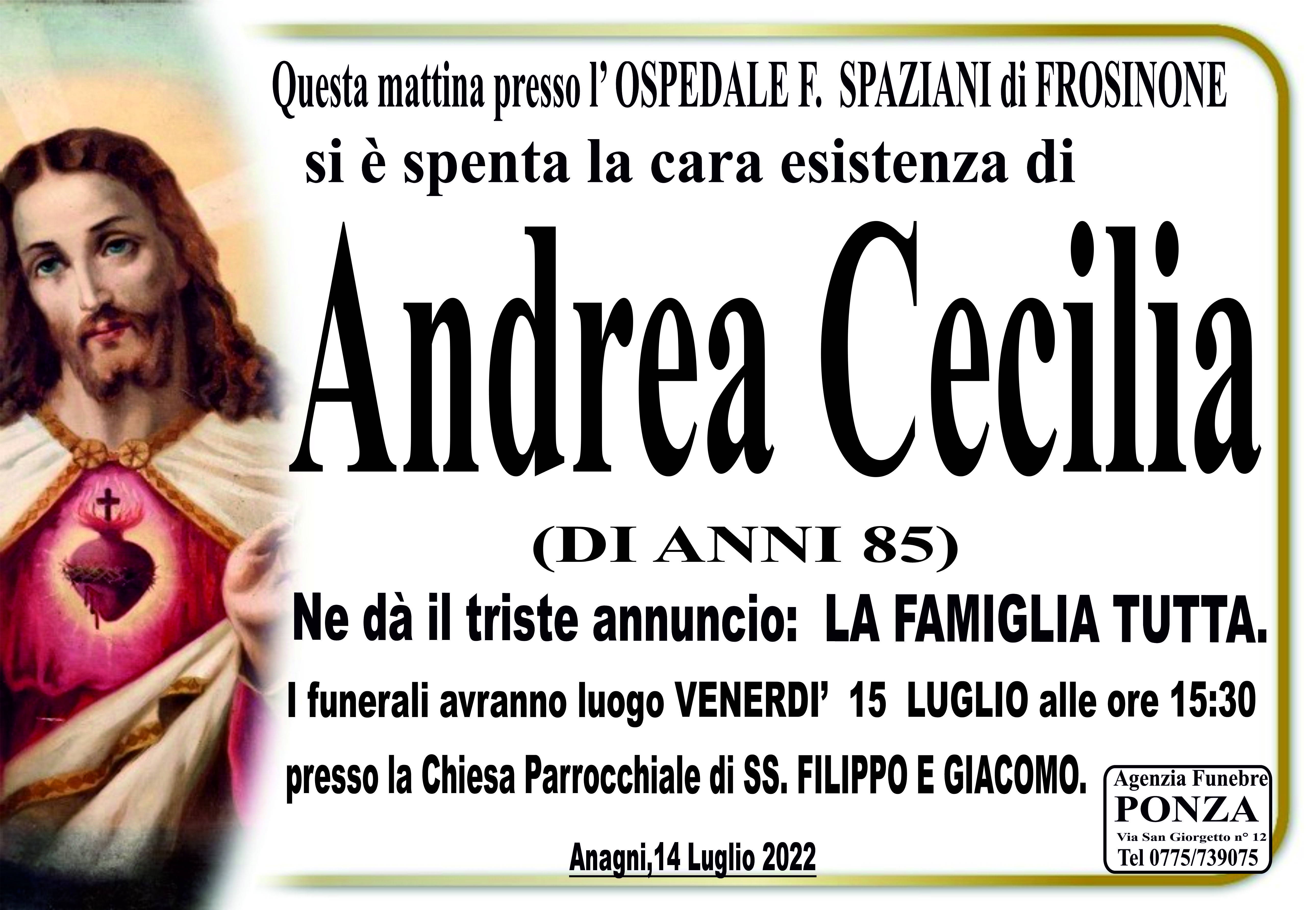 Andrea Cecilia