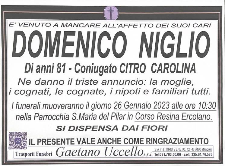 Domenico Niglio