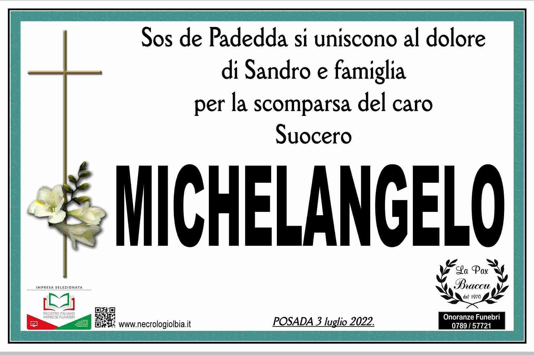 Michelangelo Selis