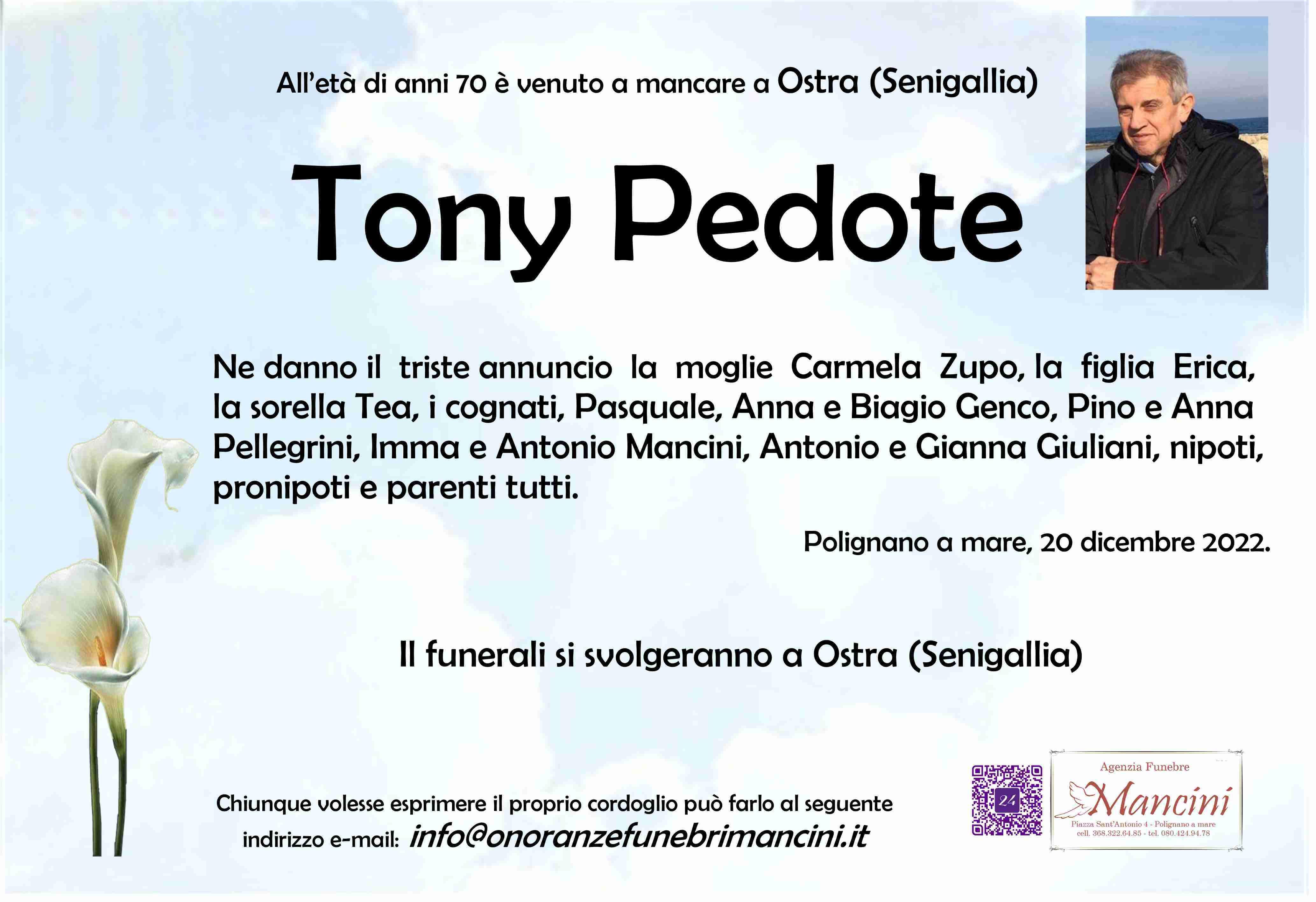 Tony Pedote