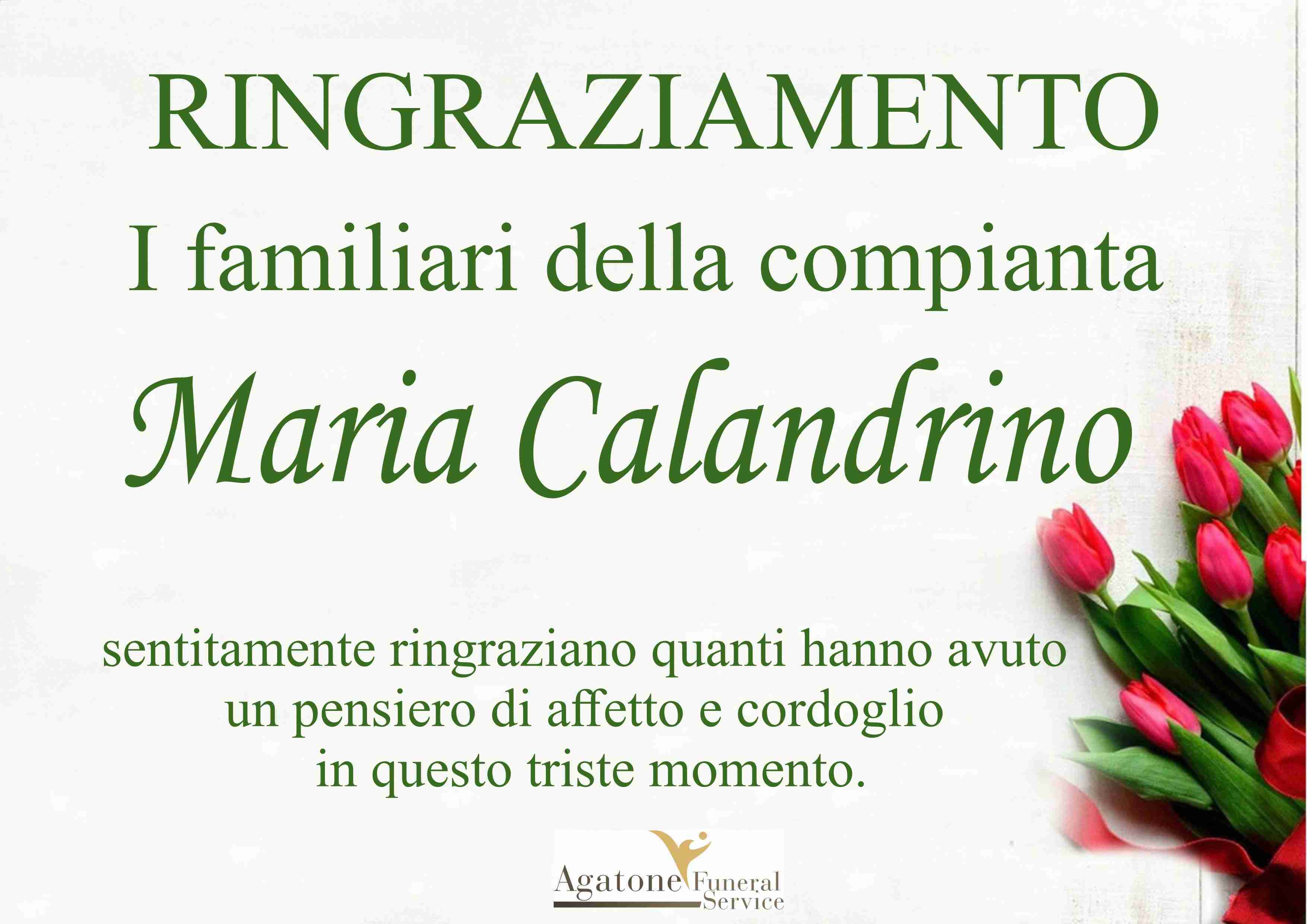 Maria Calandrino