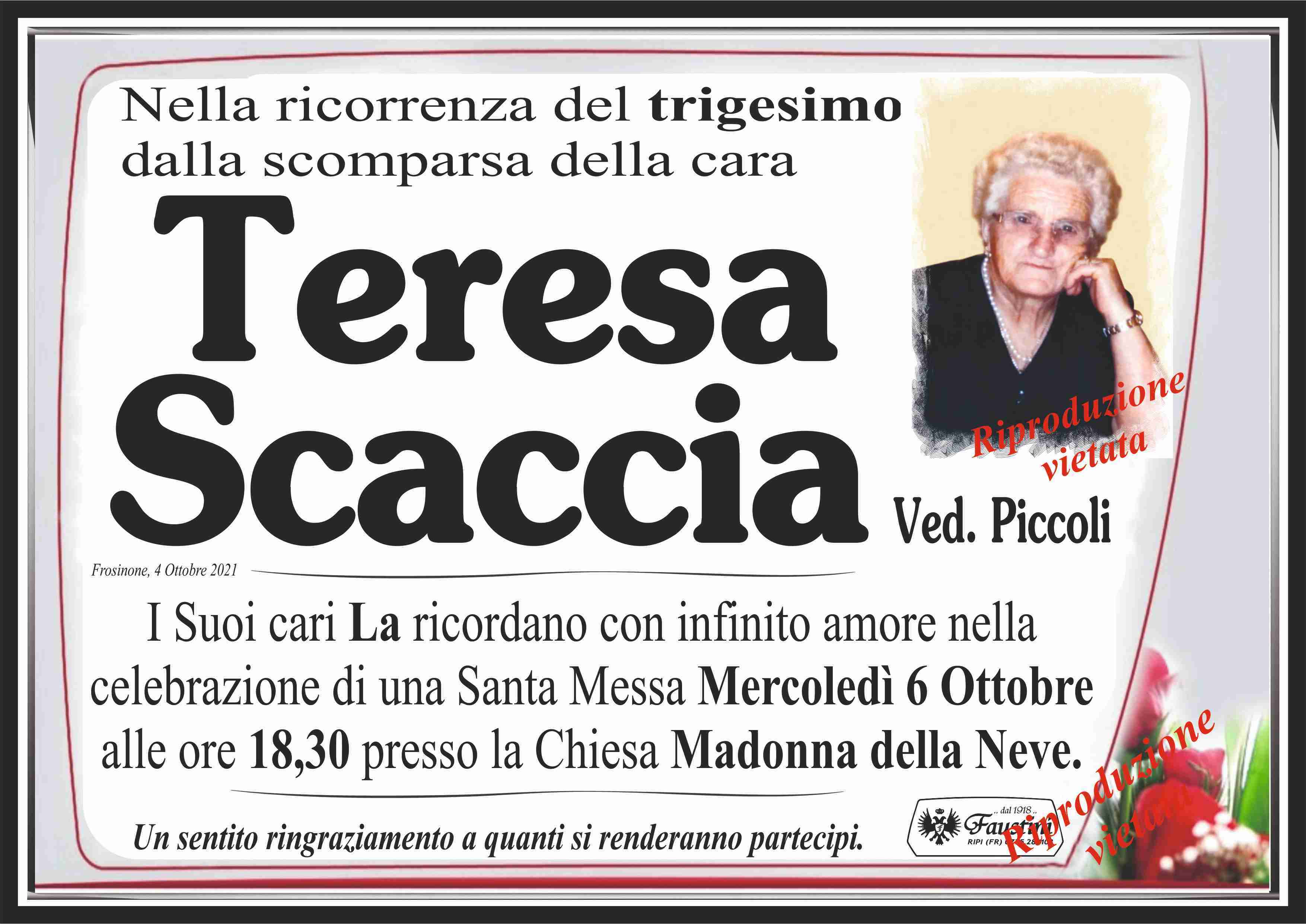 Teresa Scaccia