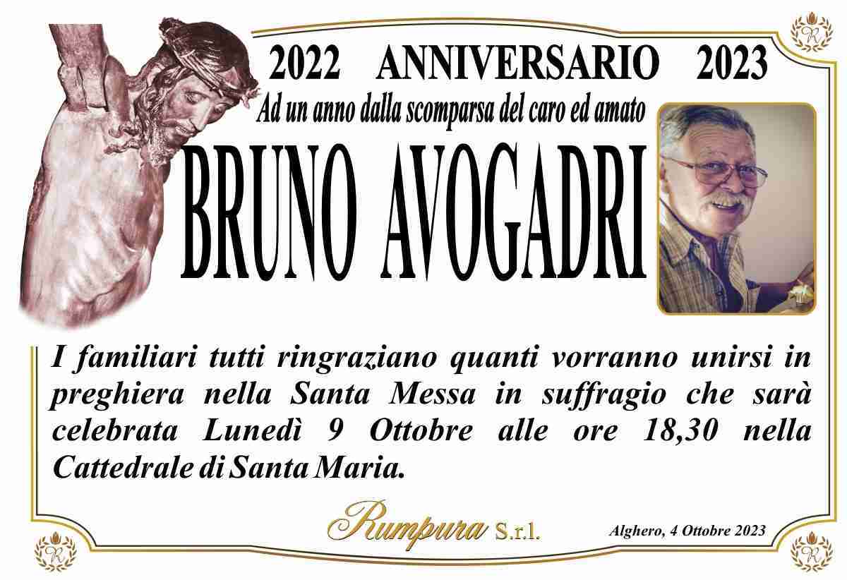 Bruno Avogadri