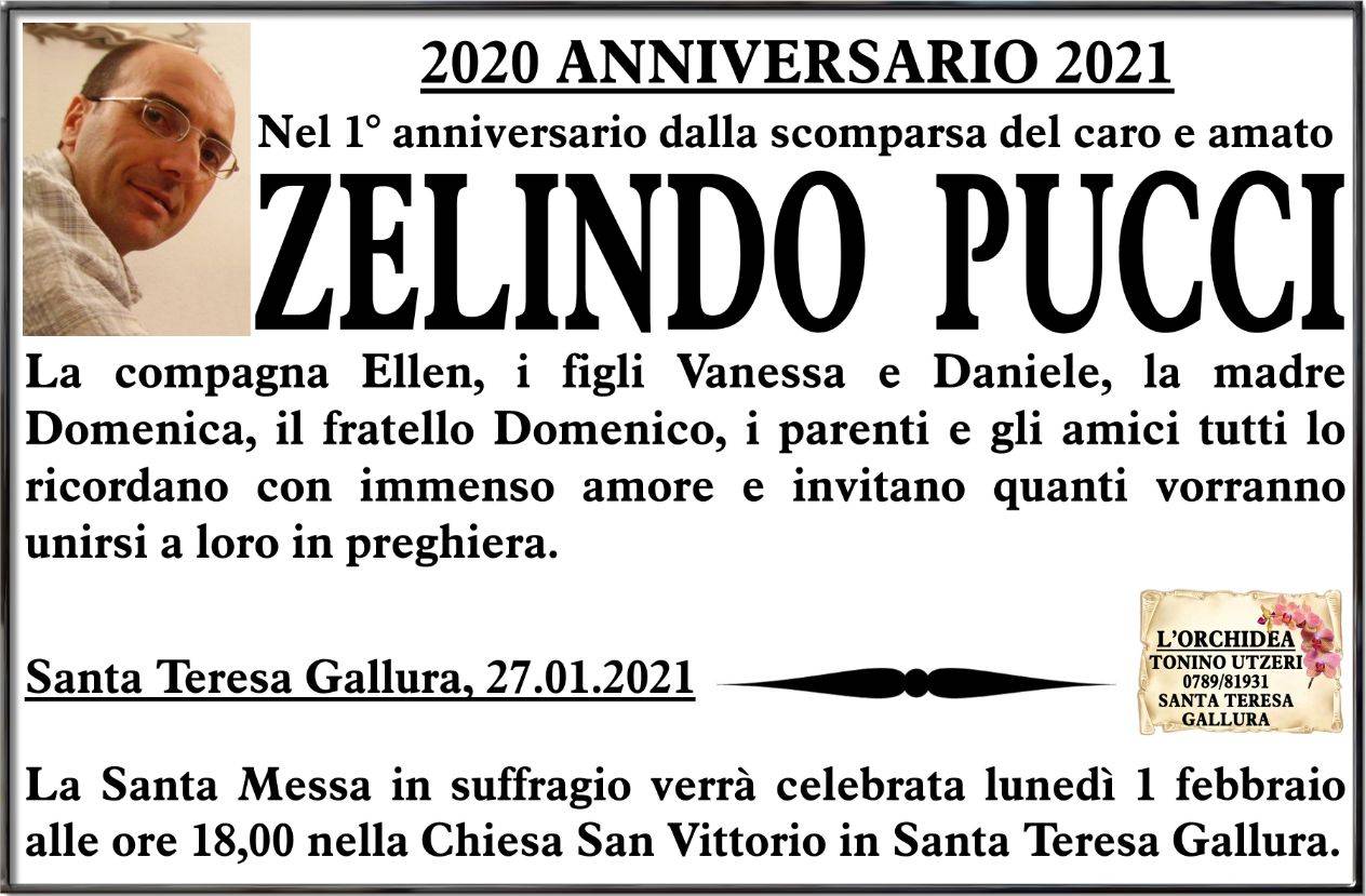 Zelindo Pucci