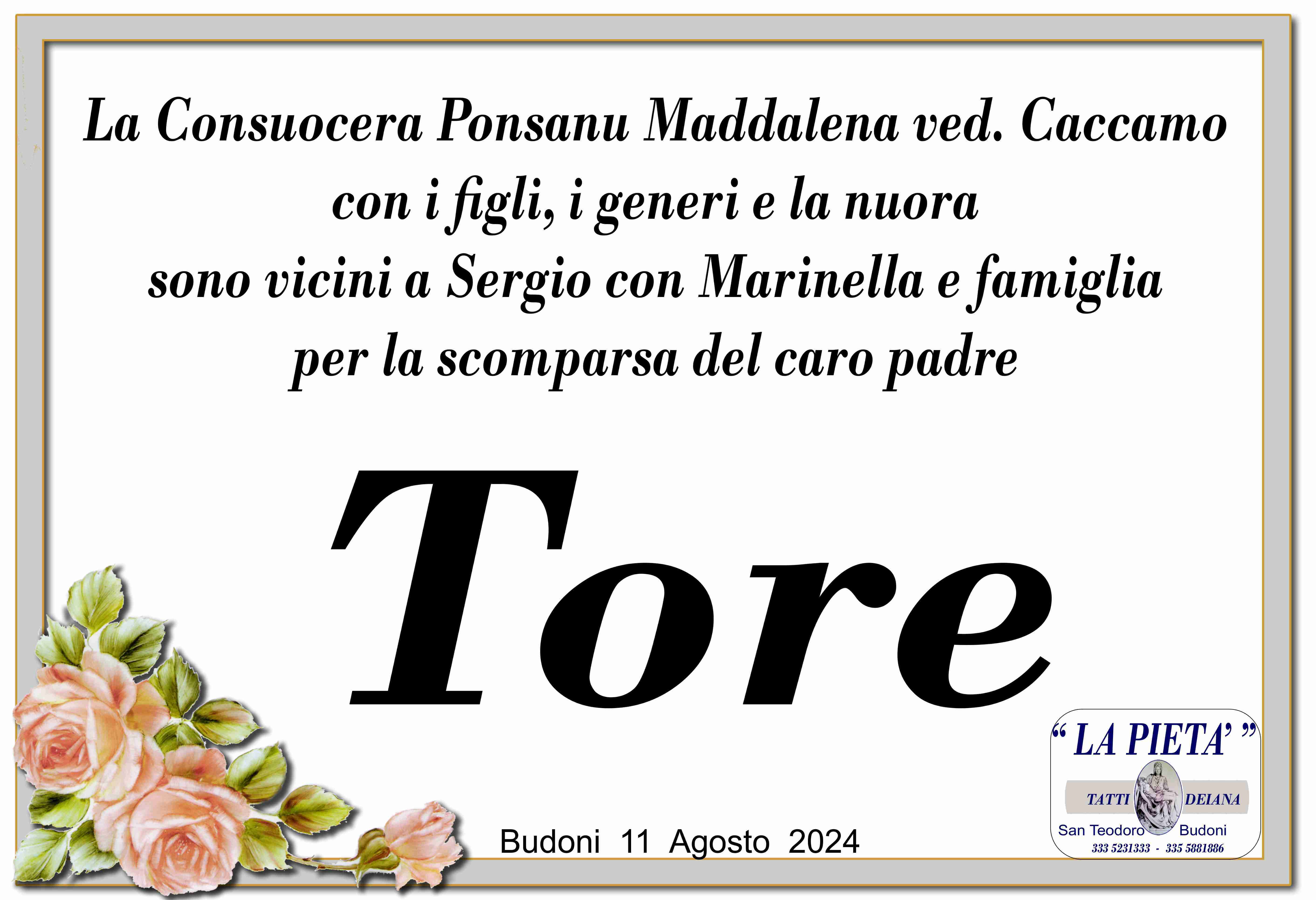 Tore Sergente