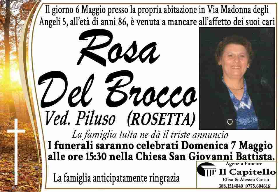 Rosa Del Brocco