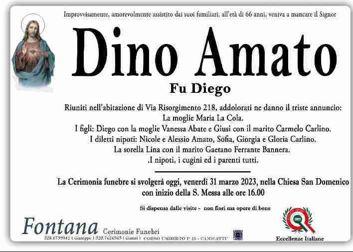 Dino Amato