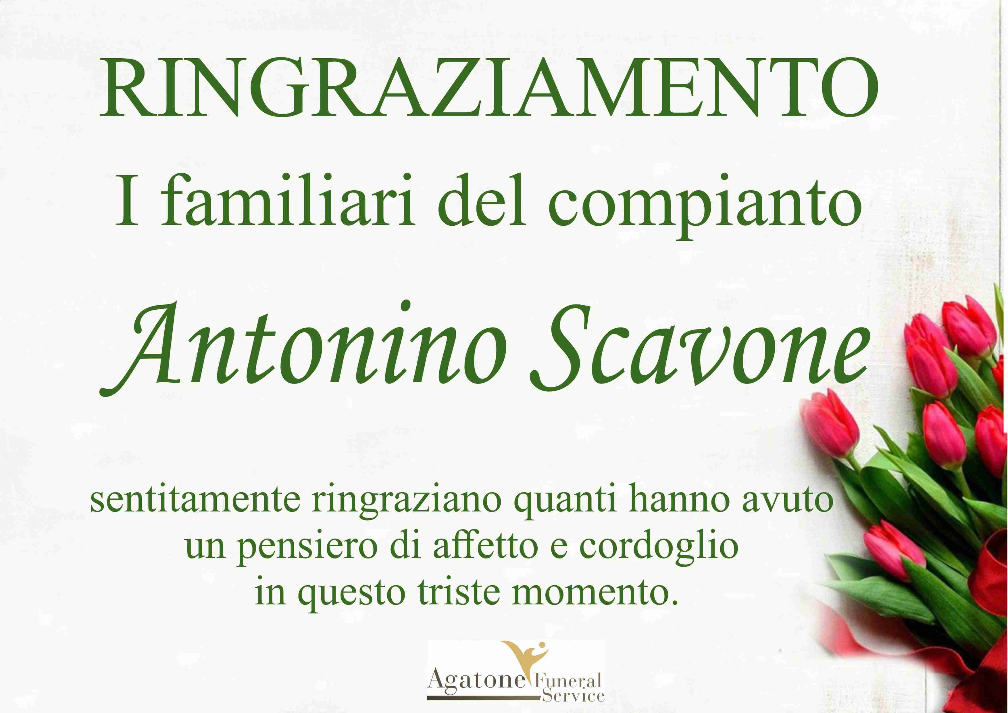 Antonino Scavone