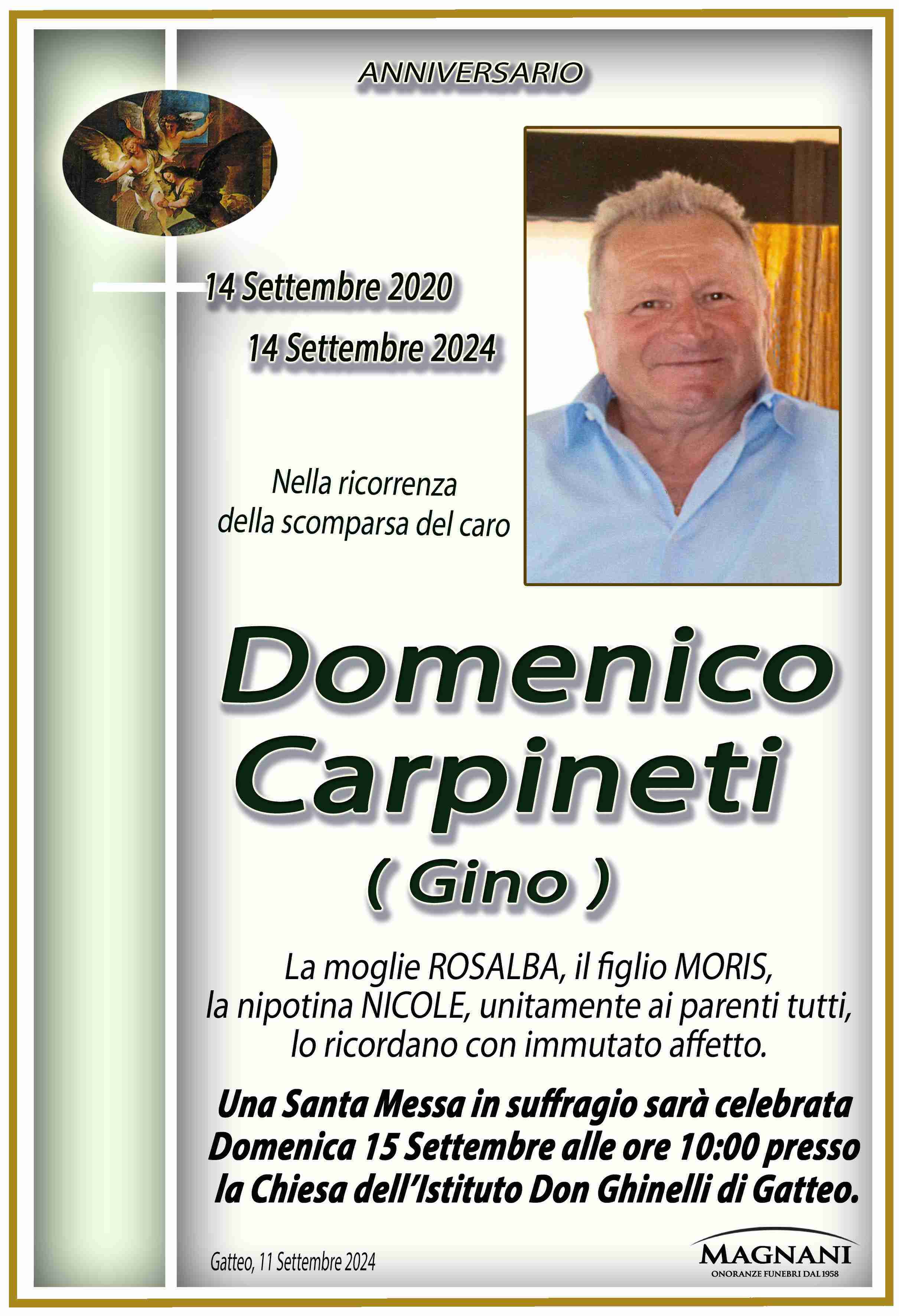 Domenico Carpineti