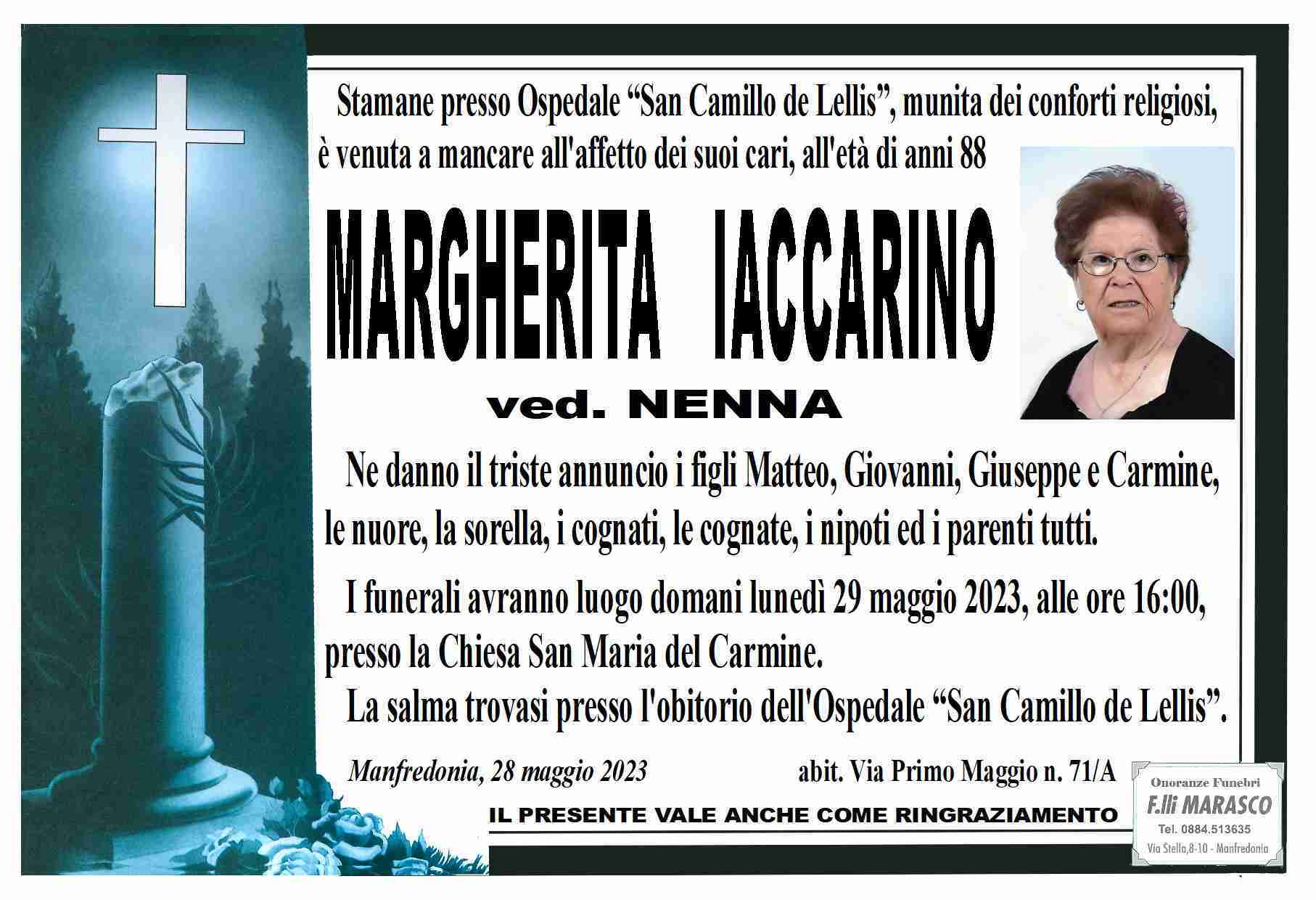 Margherita Iaccarino