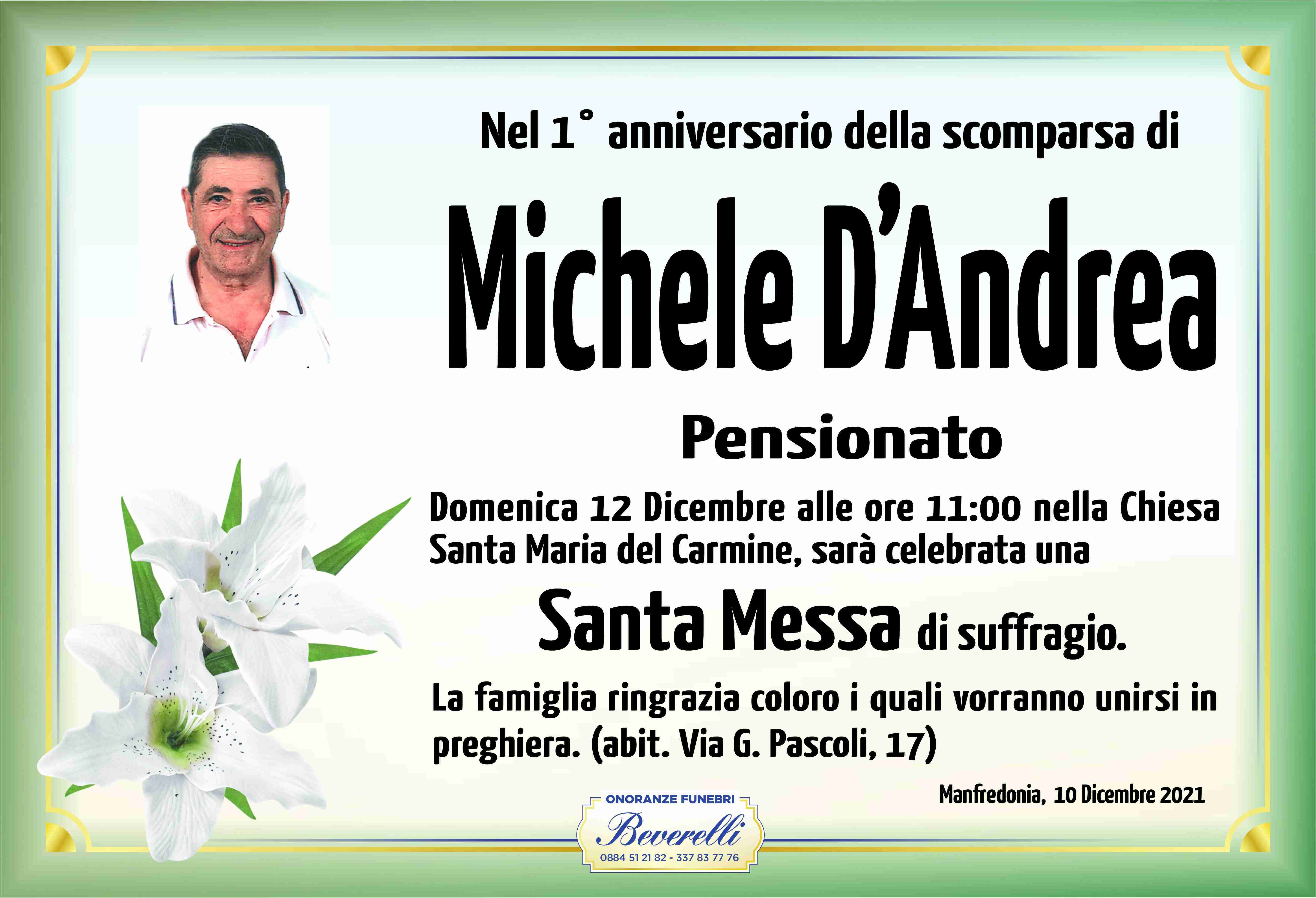 Michele D'Andrea
