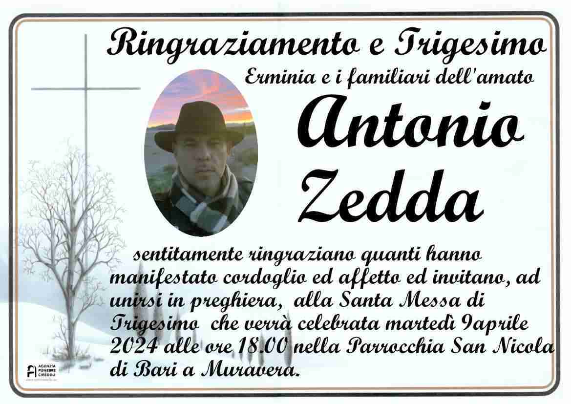 Antonio Zedda