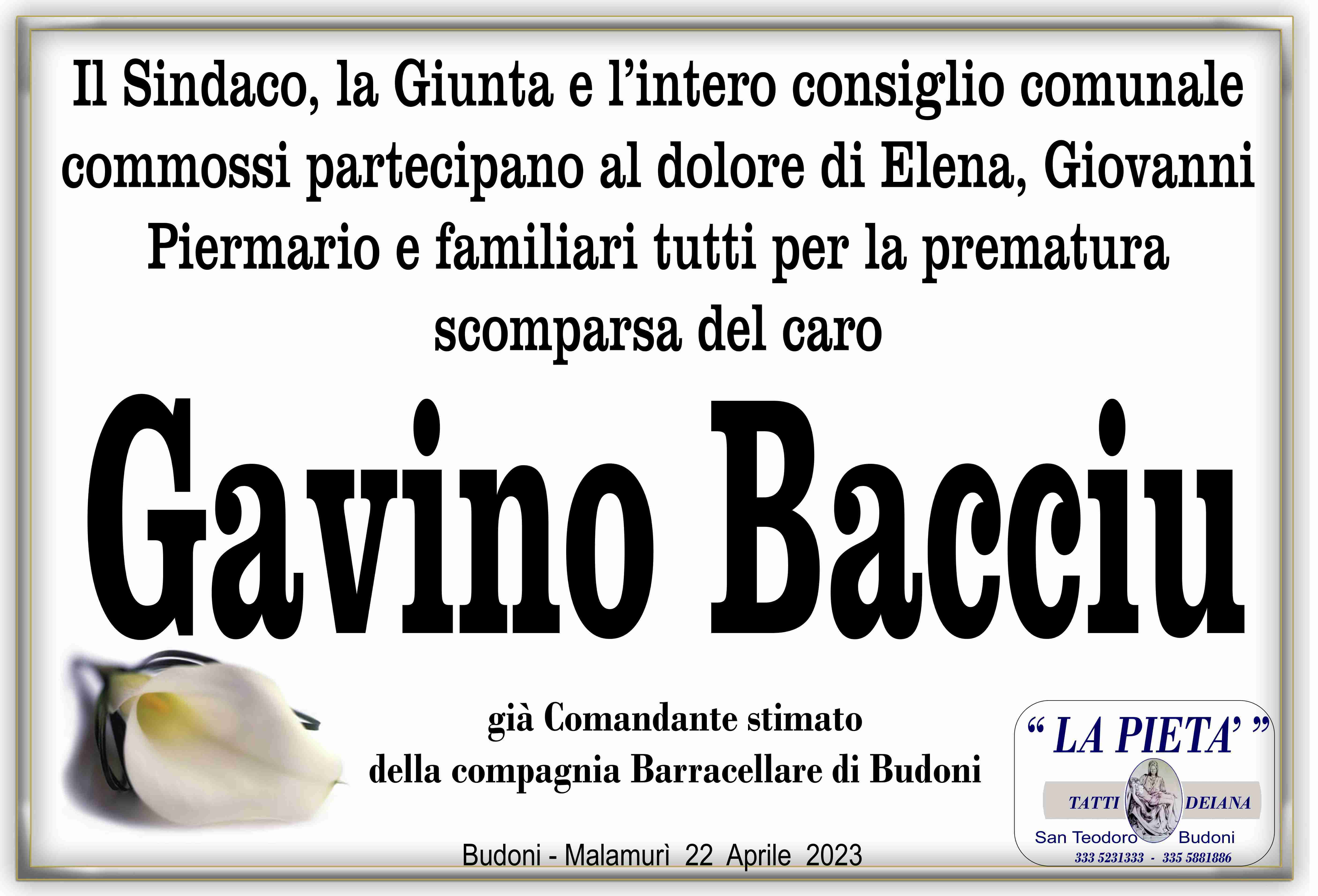 Gavino Bacciu